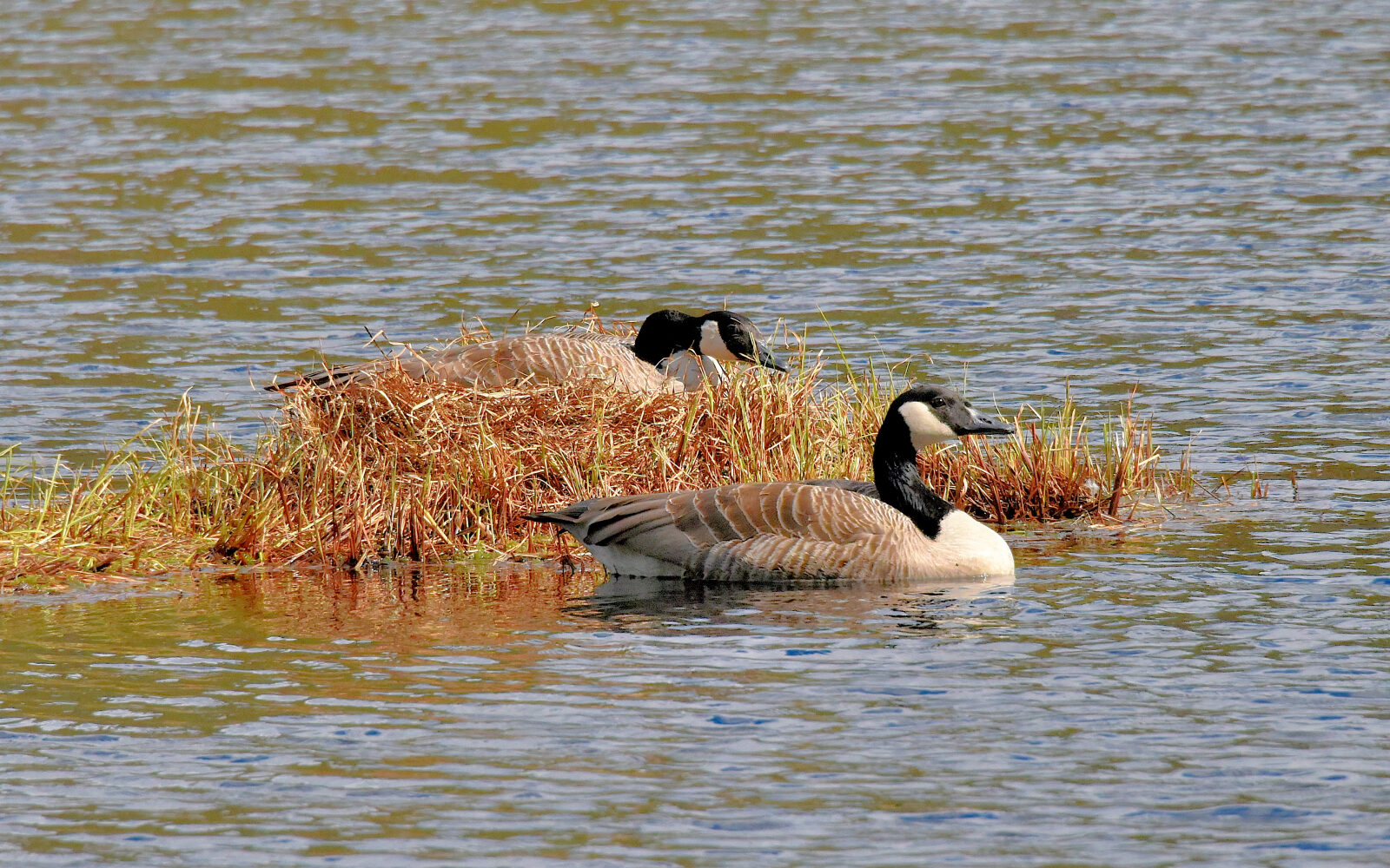 Valokuvaaja: Reijo Juurinen