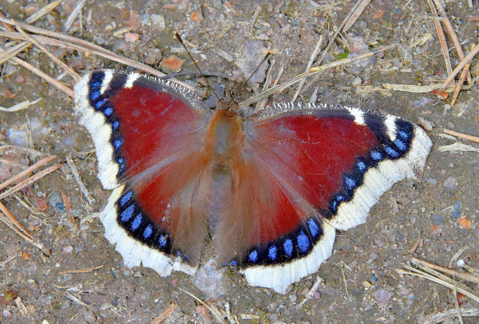 Valokuvaaja: Reijo Juurinen