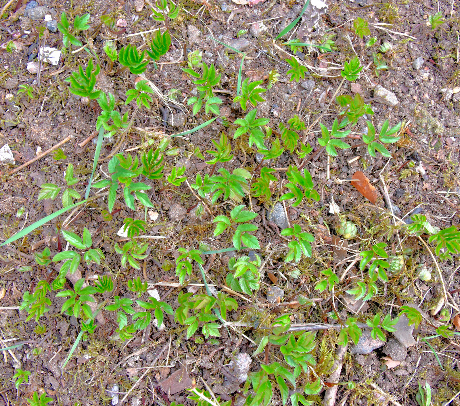 Valokuvaaja: Reijo Juurinen