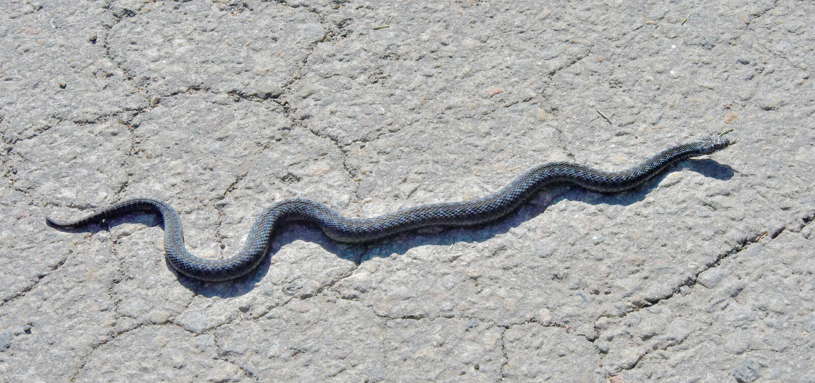 Valokuvaaja: Reijo Juurinen