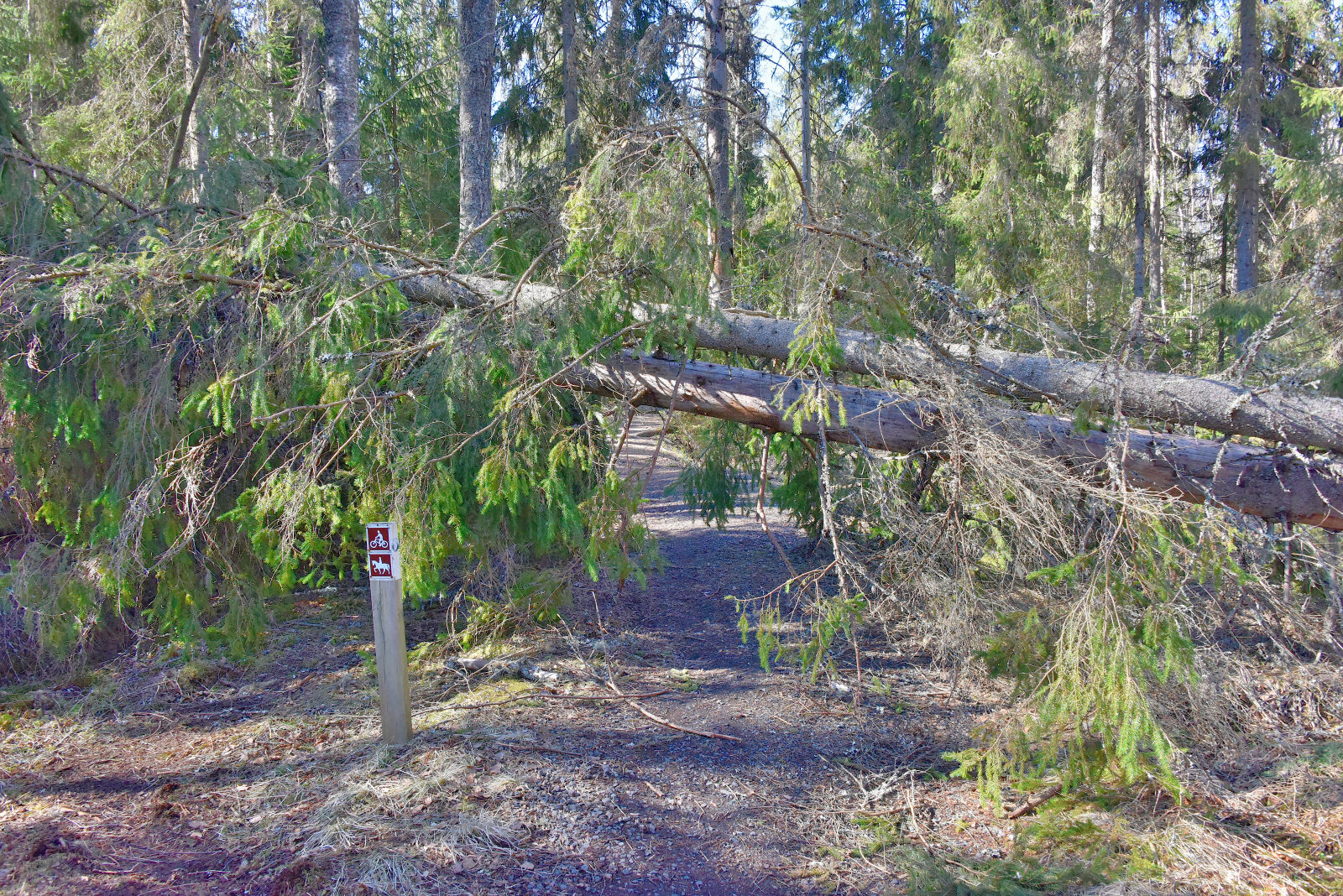 Valokuvaaja: Reijo Juurinen