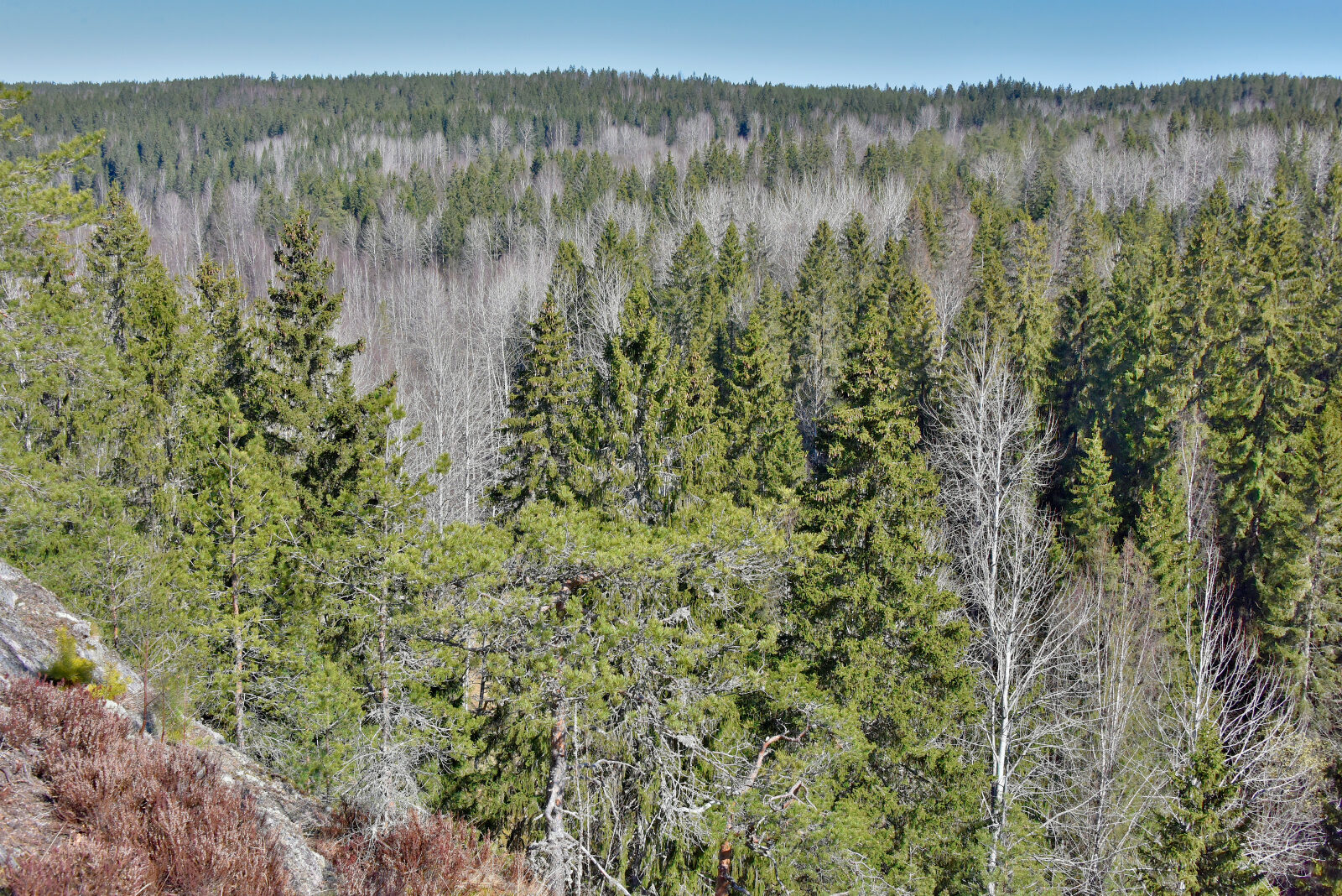 Valokuvaaja: Reijo Juurinen