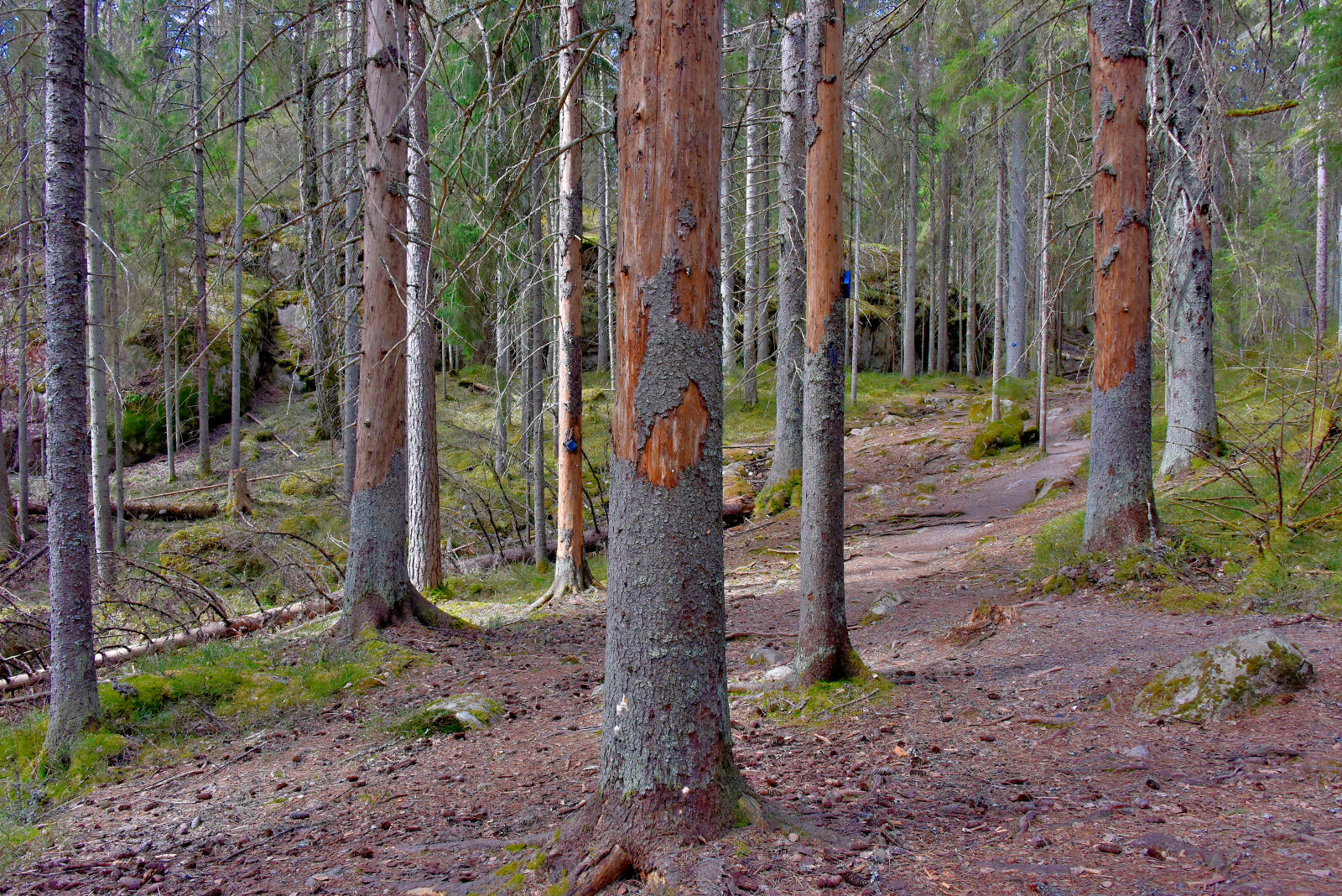 Valokuvaaja: Reijo Juurinen
