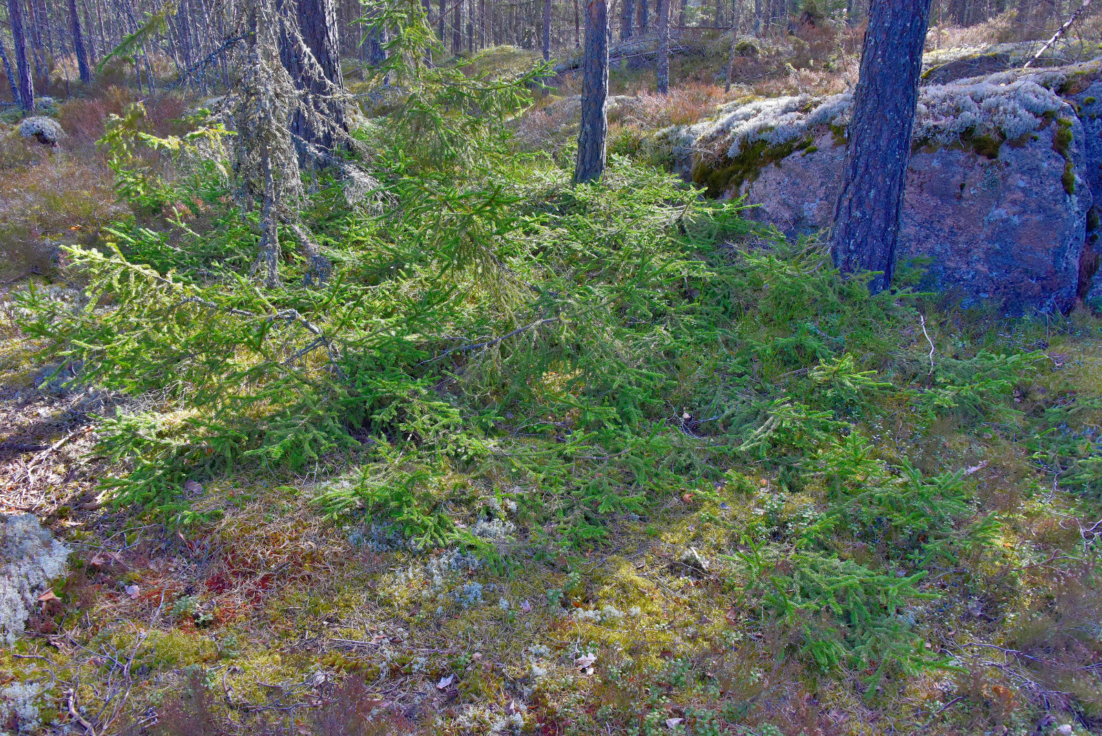 Valokuvaaja: Reijo Juurinen