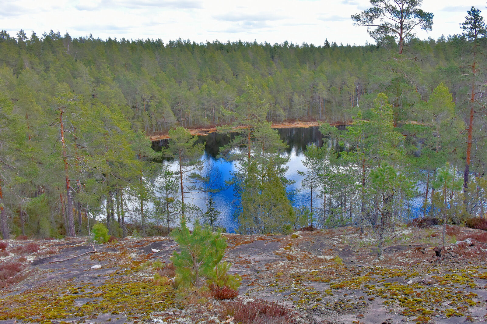 Valokuvaaja: Reijo Juurinen