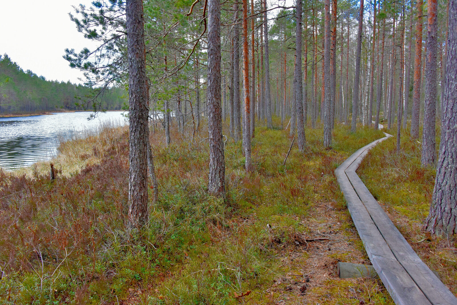 Valokuvaaja: Reijo Juurinen