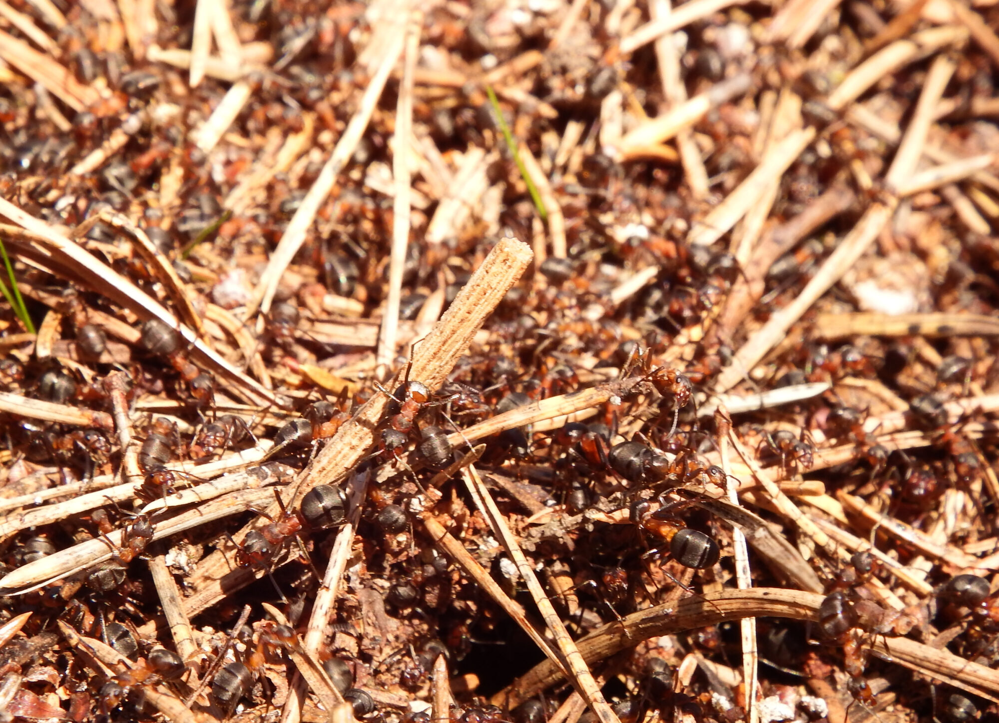 Valokuvaaja: Toni Asikainen