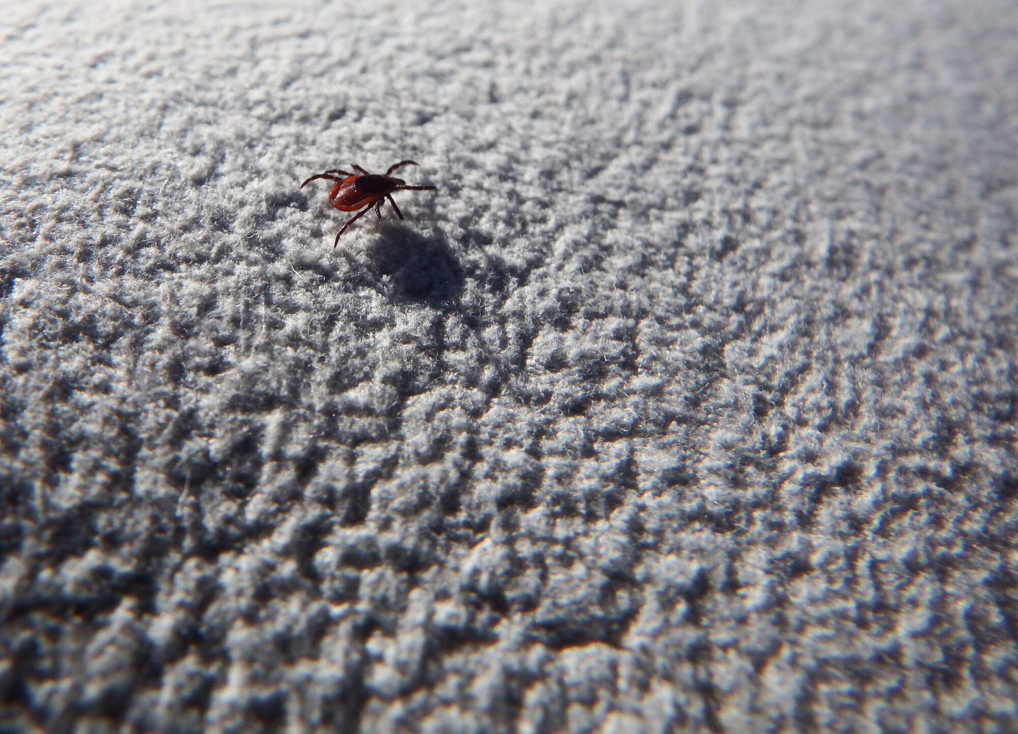 Valokuvaaja: Toni Asikainen