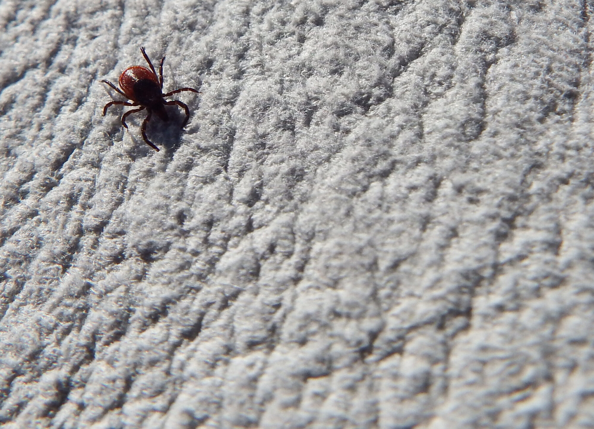 Valokuvaaja: Toni Asikainen