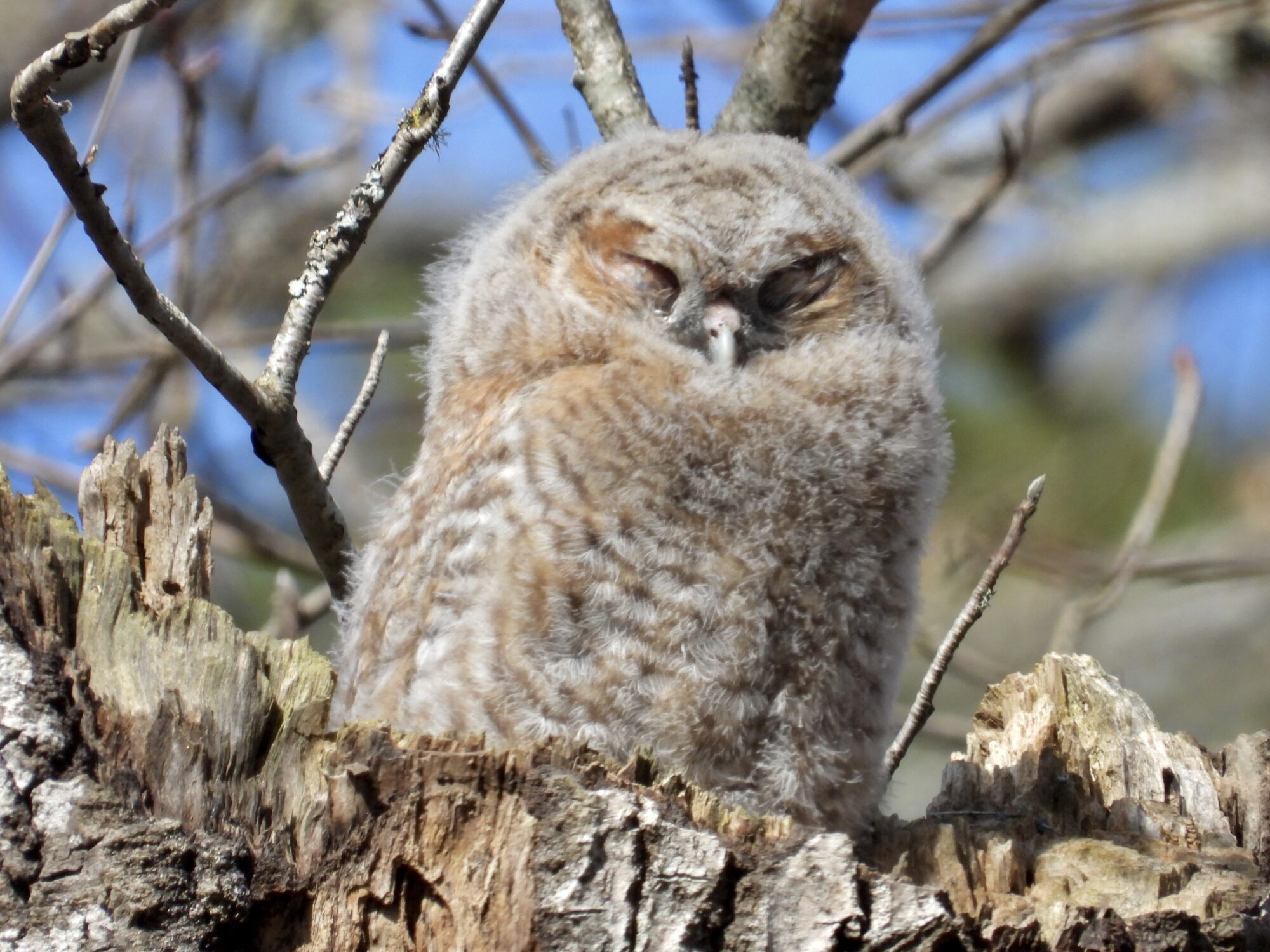 Valokuvaaja: Juhani Peltonen