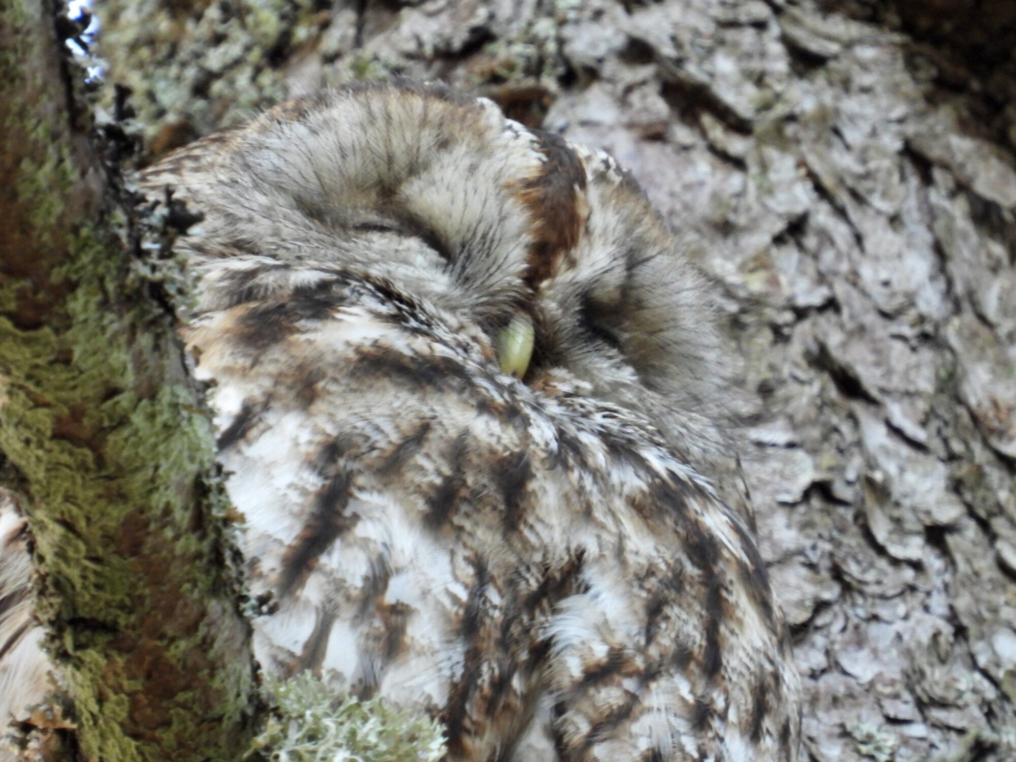 Valokuvaaja: Juhani Peltonen