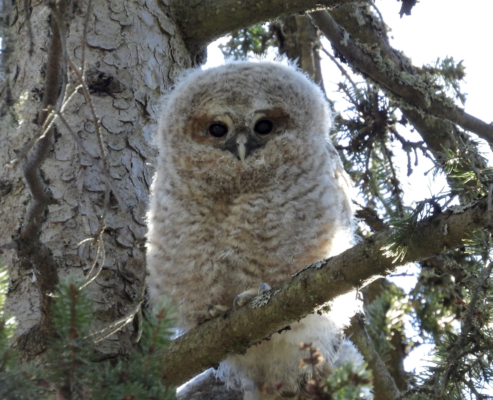 Valokuvaaja: Juhani Peltonen