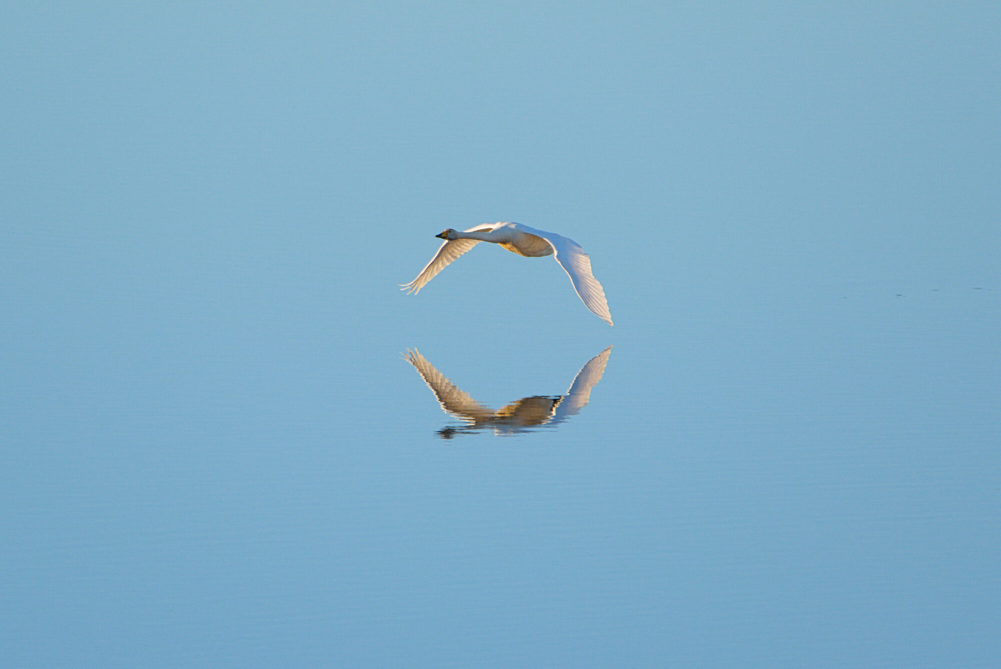 Valokuvaaja: Juha Poutiainen