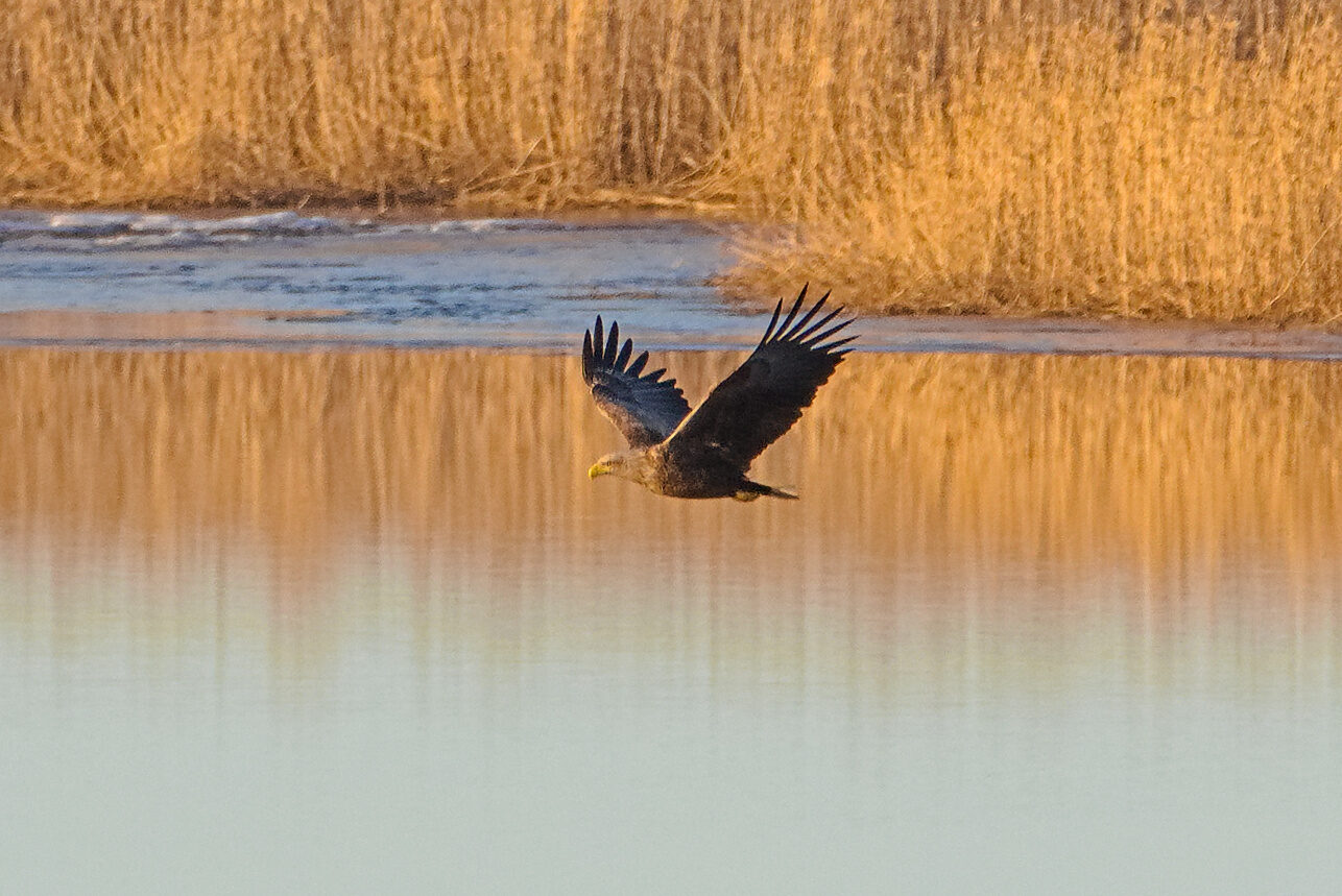 Valokuvaaja: Juha Poutiainen