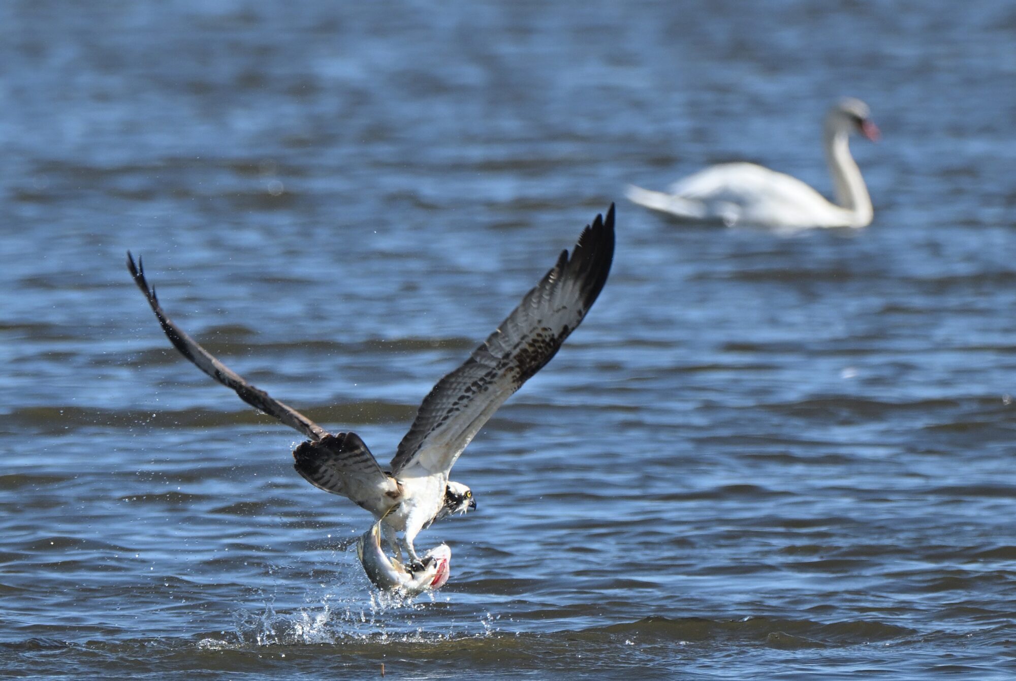 Valokuvaaja: Asko Heikkinen
