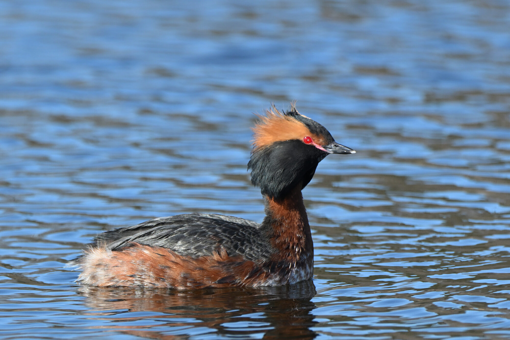 Valokuvaaja: Asko Heikkinen