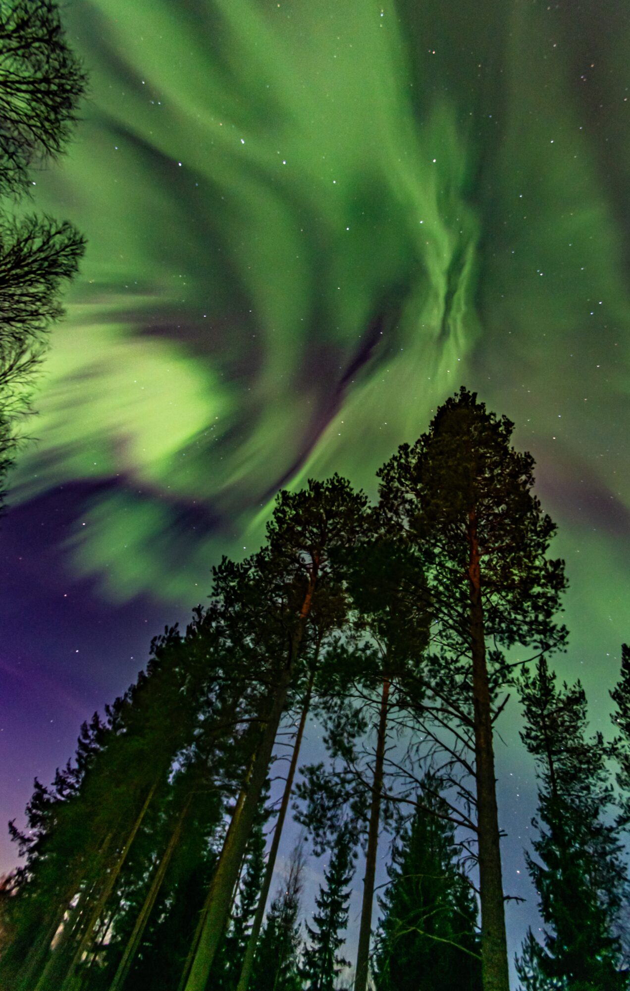 Valokuvaaja: Leena Rissanen