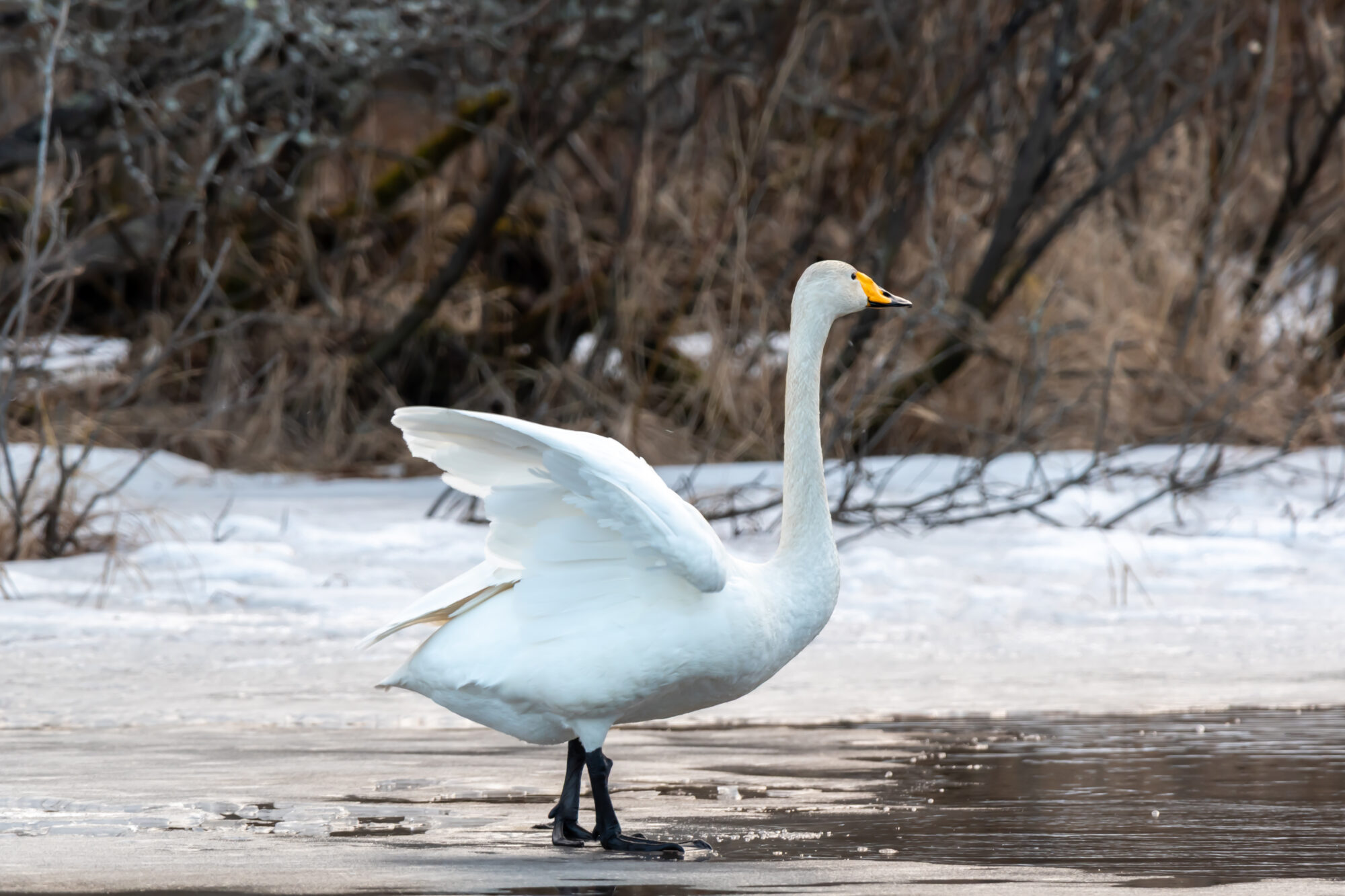 Valokuvaaja: Leena Rissanen