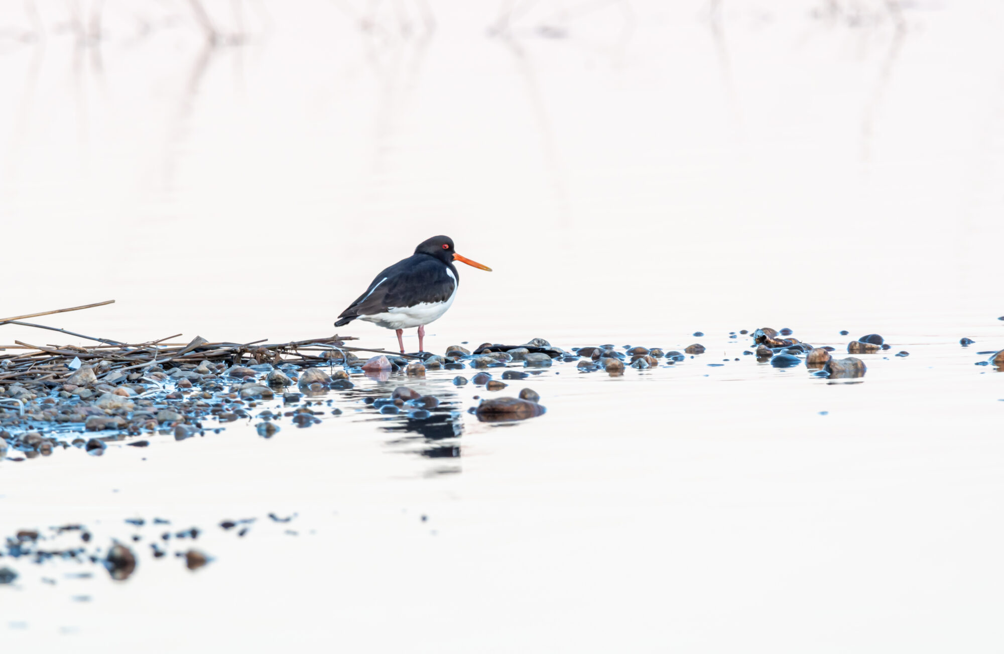 Valokuvaaja: Leena Rissanen