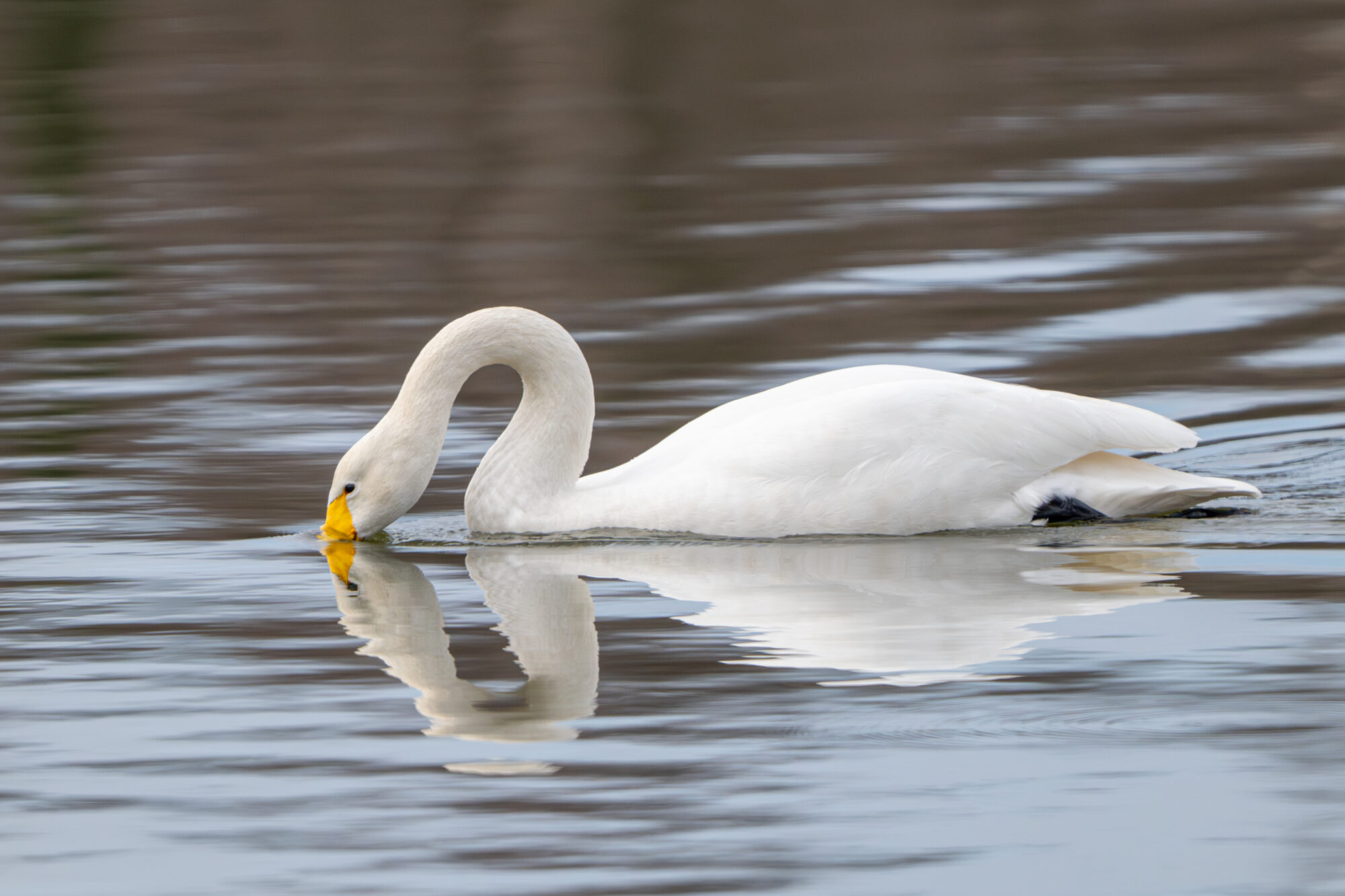 Valokuvaaja: Markku Saarinen