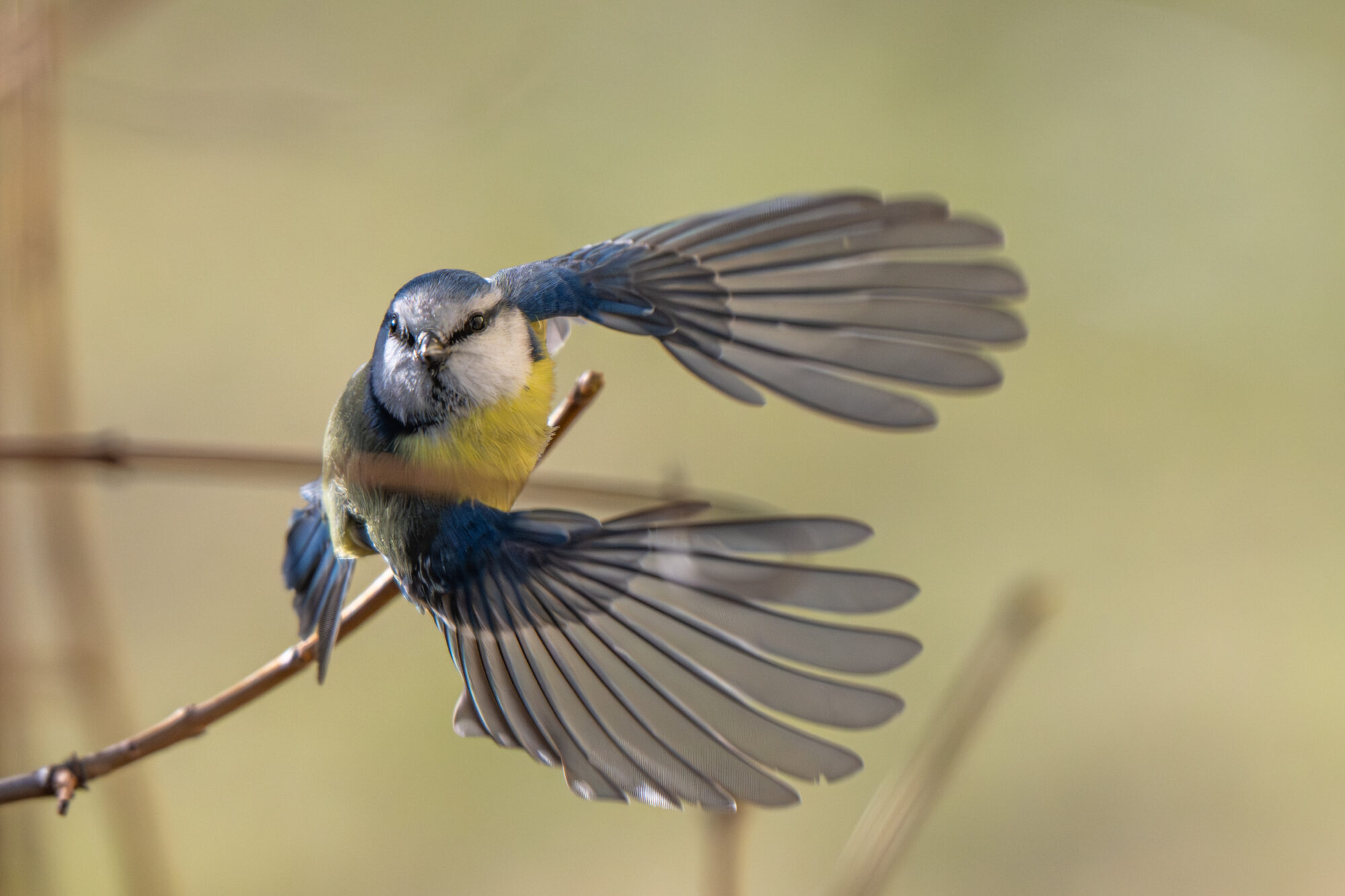 Valokuvaaja: Markku Saarinen