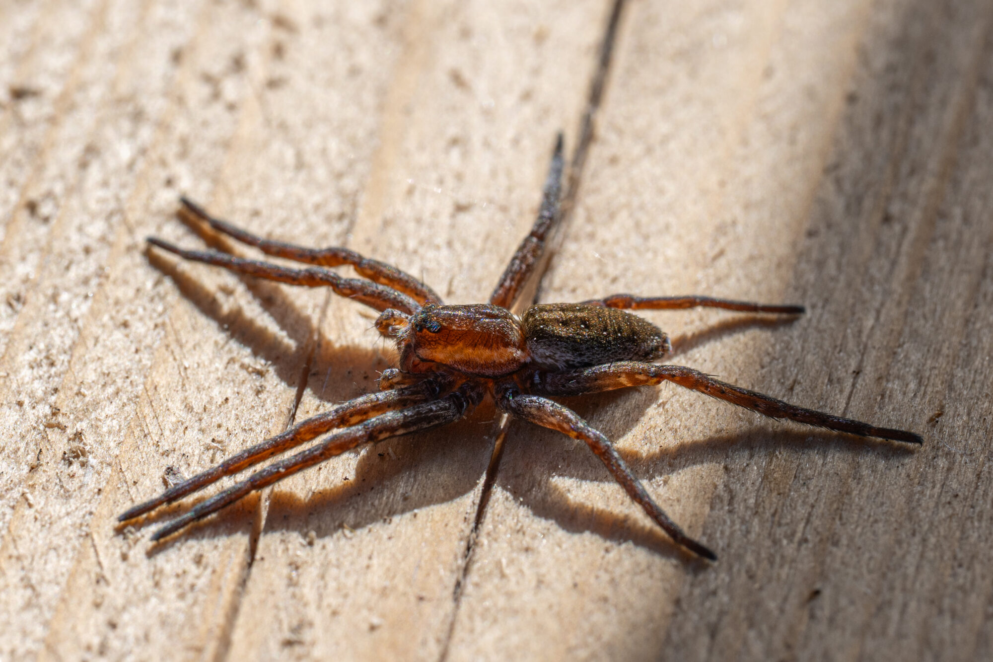 Valokuvaaja: Markku Saarinen