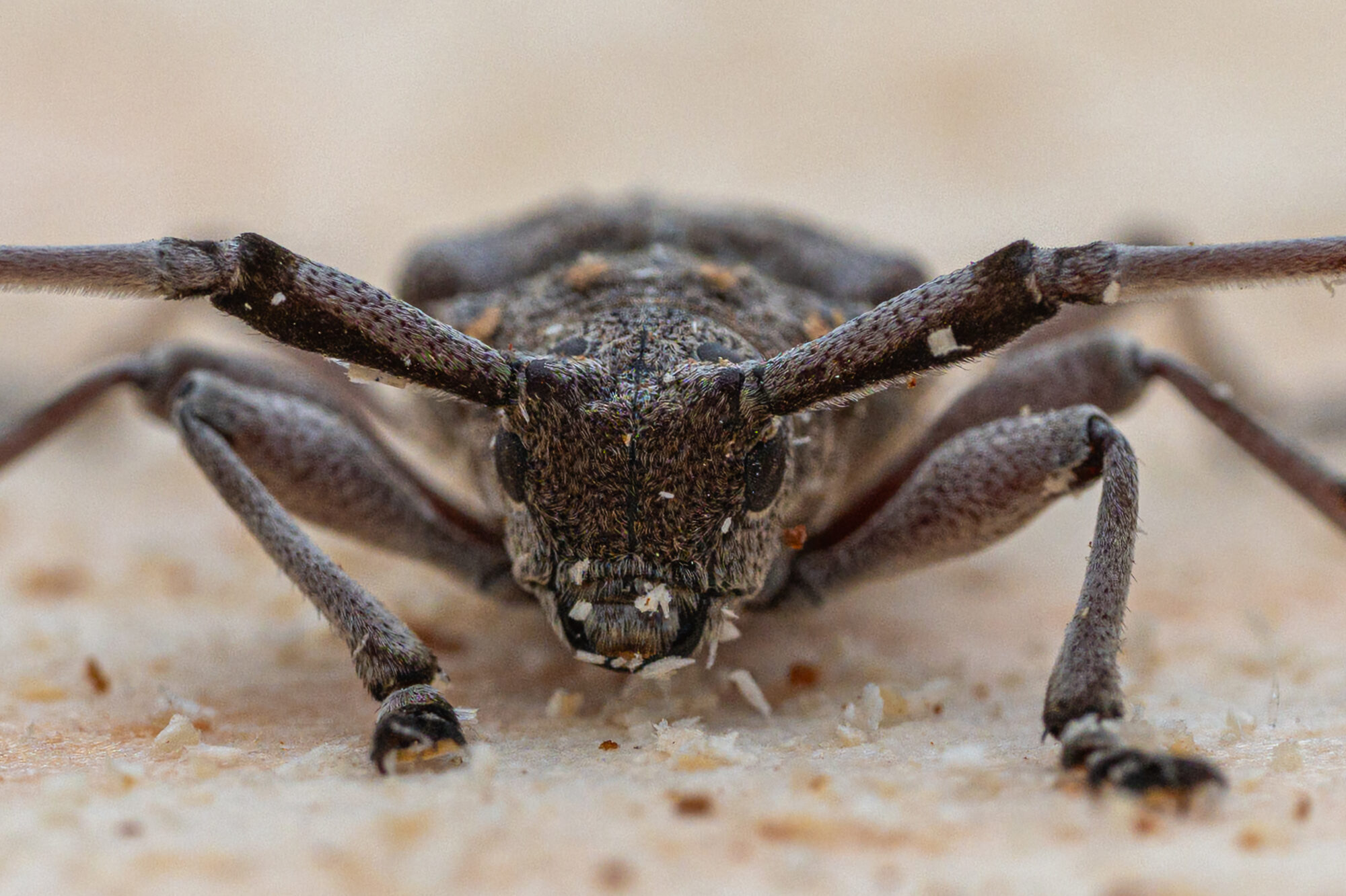 Valokuvaaja: Markku Saarinen