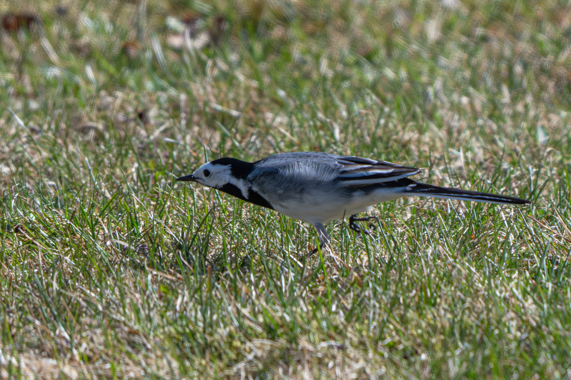 Valokuvaaja: Markku Saarinen