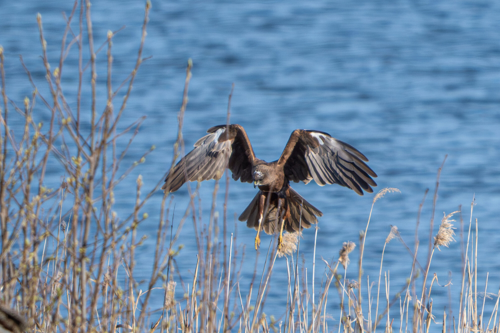 Valokuvaaja: Markku Saarinen