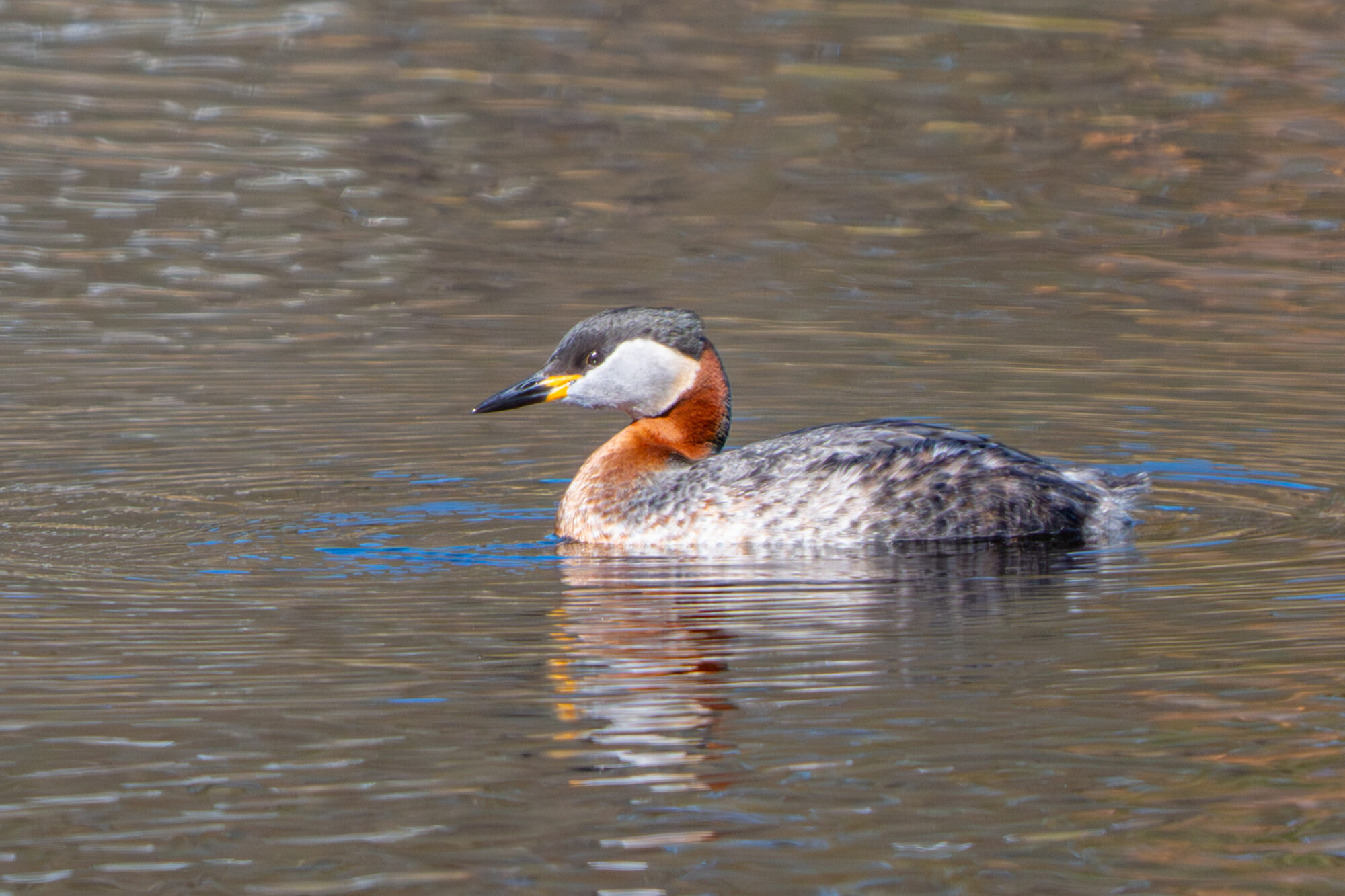 Valokuvaaja: Markku Saarinen