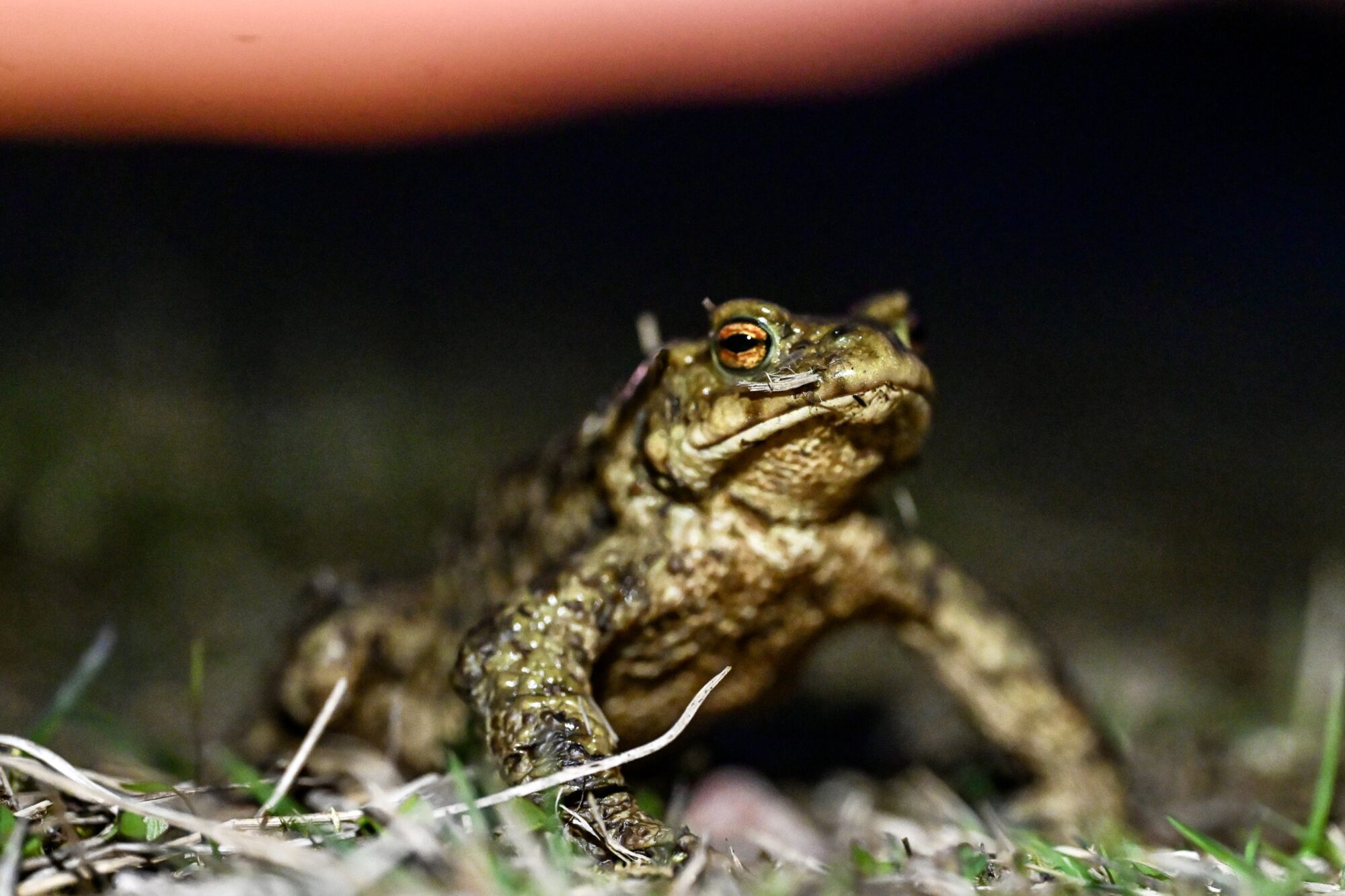Valokuvaaja: Janne Vasama