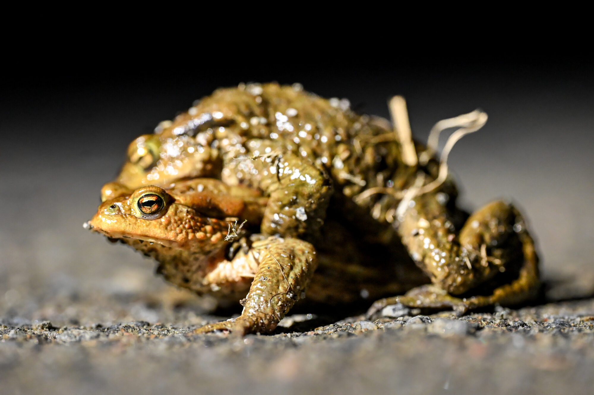 Valokuvaaja: Janne Vasama