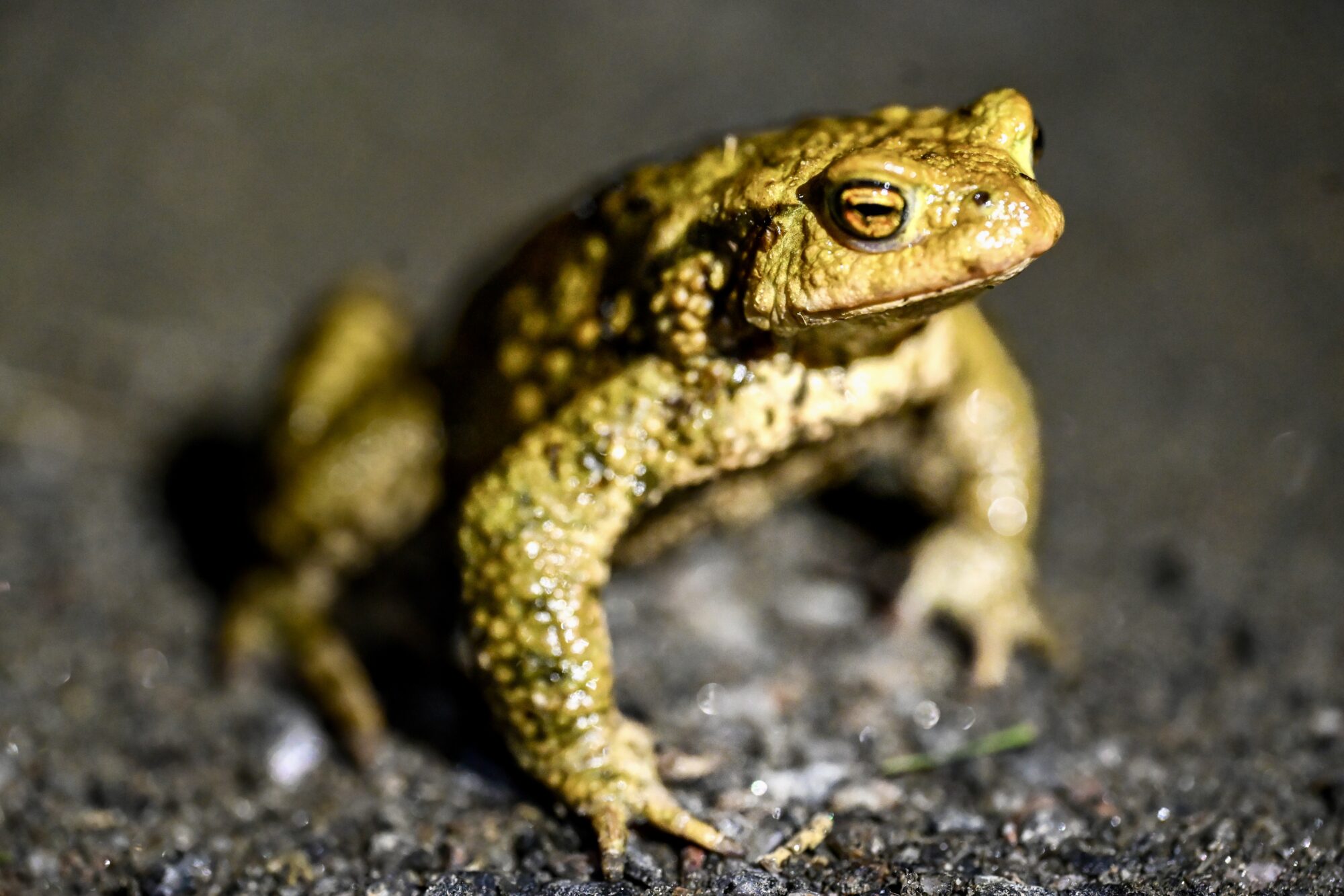 Valokuvaaja: Janne Vasama