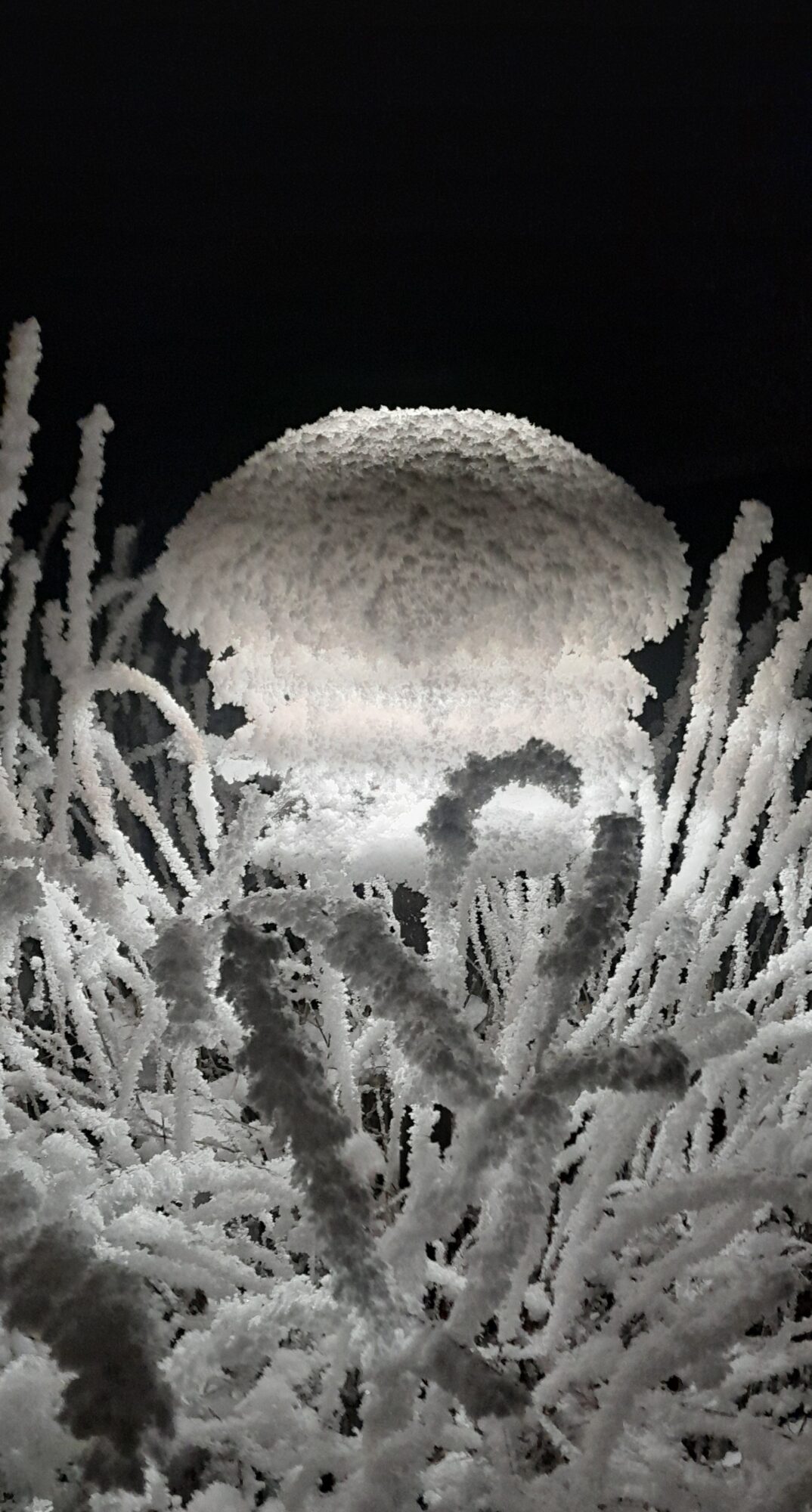 Valokuvaaja: Minna Häkli