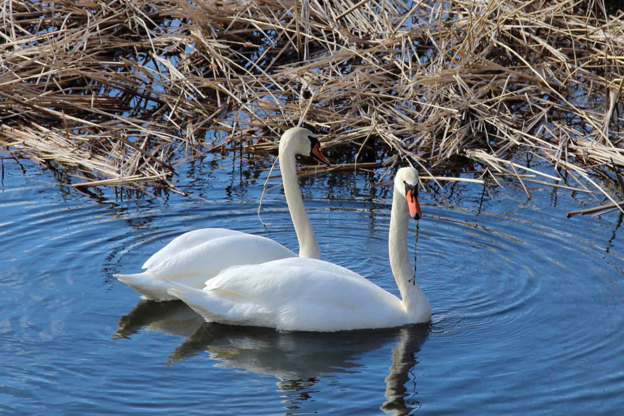 Valokuvaaja: Kirsi-Marja Joenpolvi