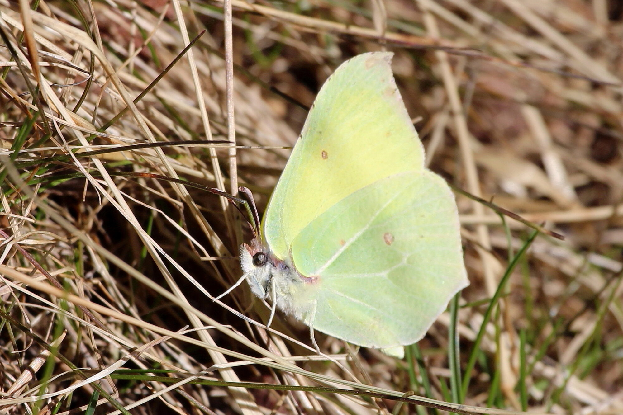 Valokuvaaja: Kirsi-Marja Joenpolvi