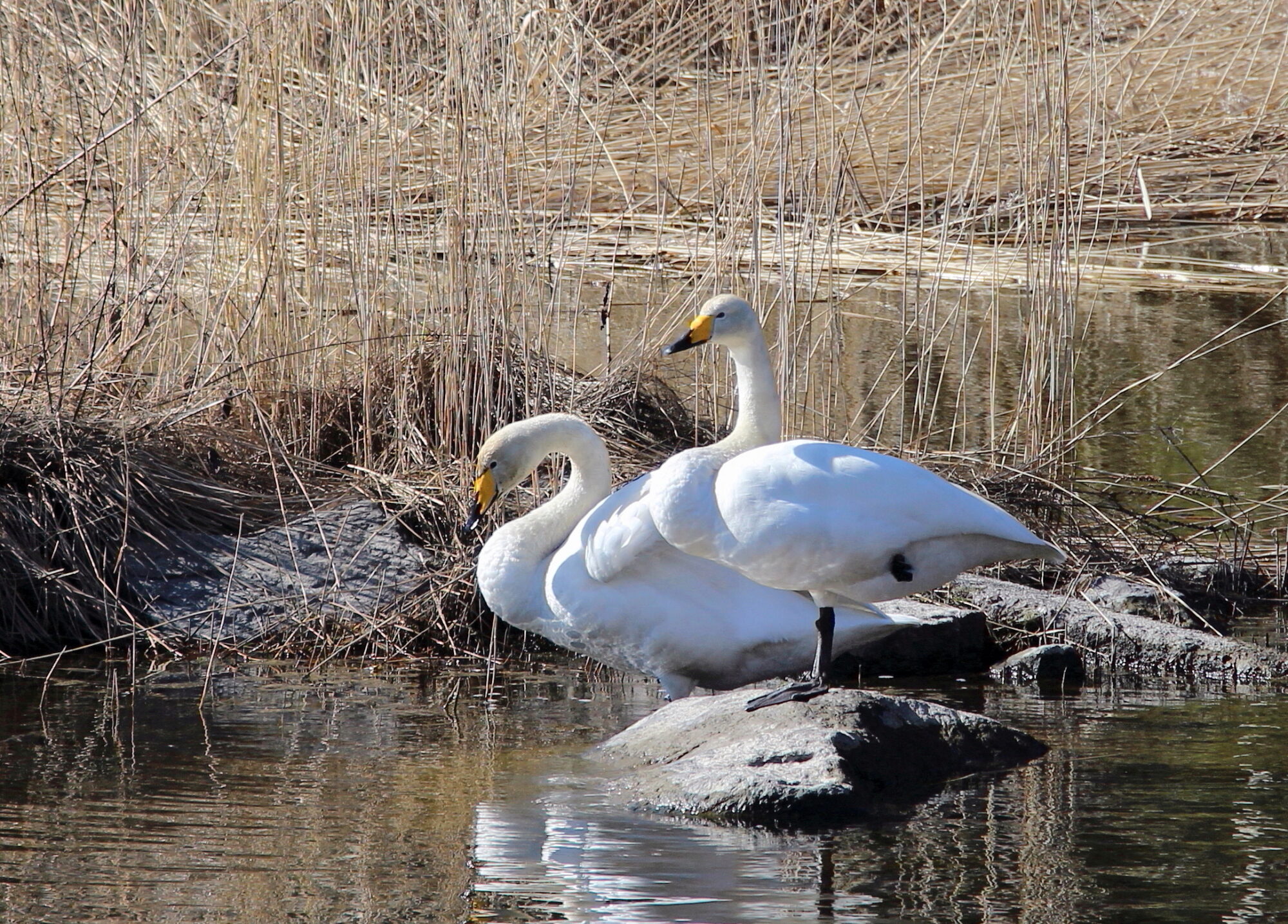 Valokuvaaja: Kirsi-Marja Joenpolvi
