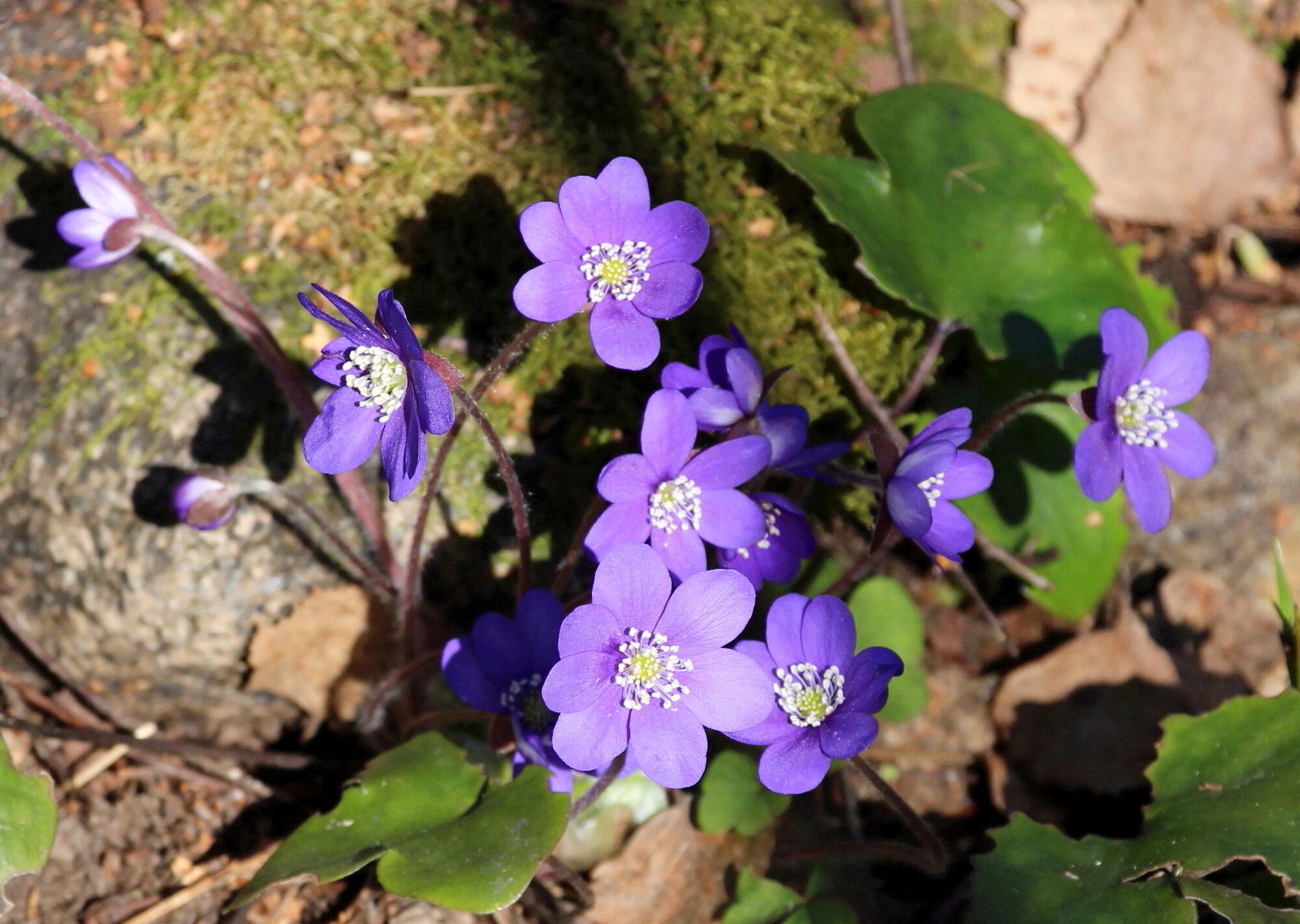 Valokuvaaja: Kirsi-Marja Joenpolvi