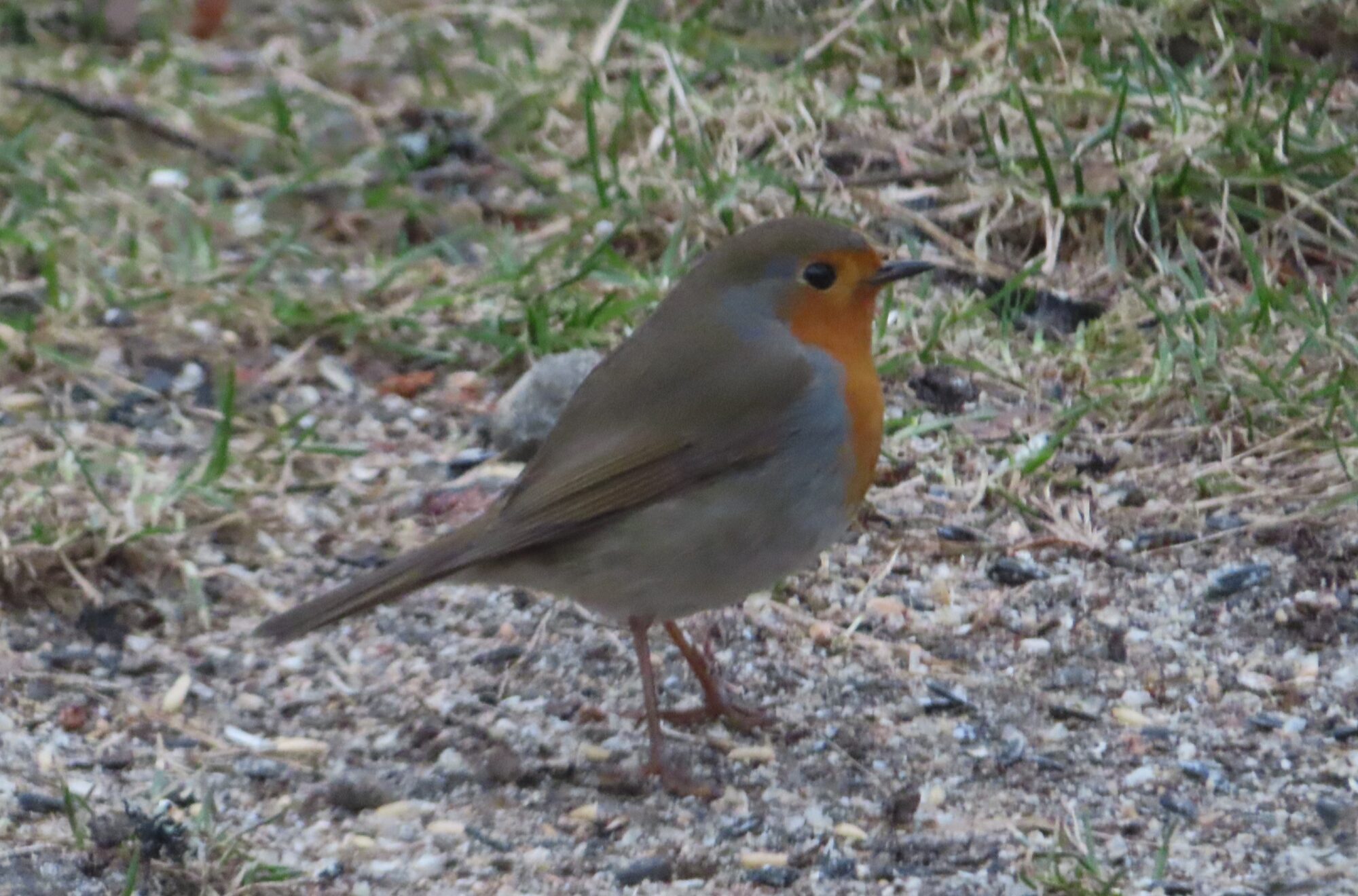 Valokuvaaja: Soili Jalava