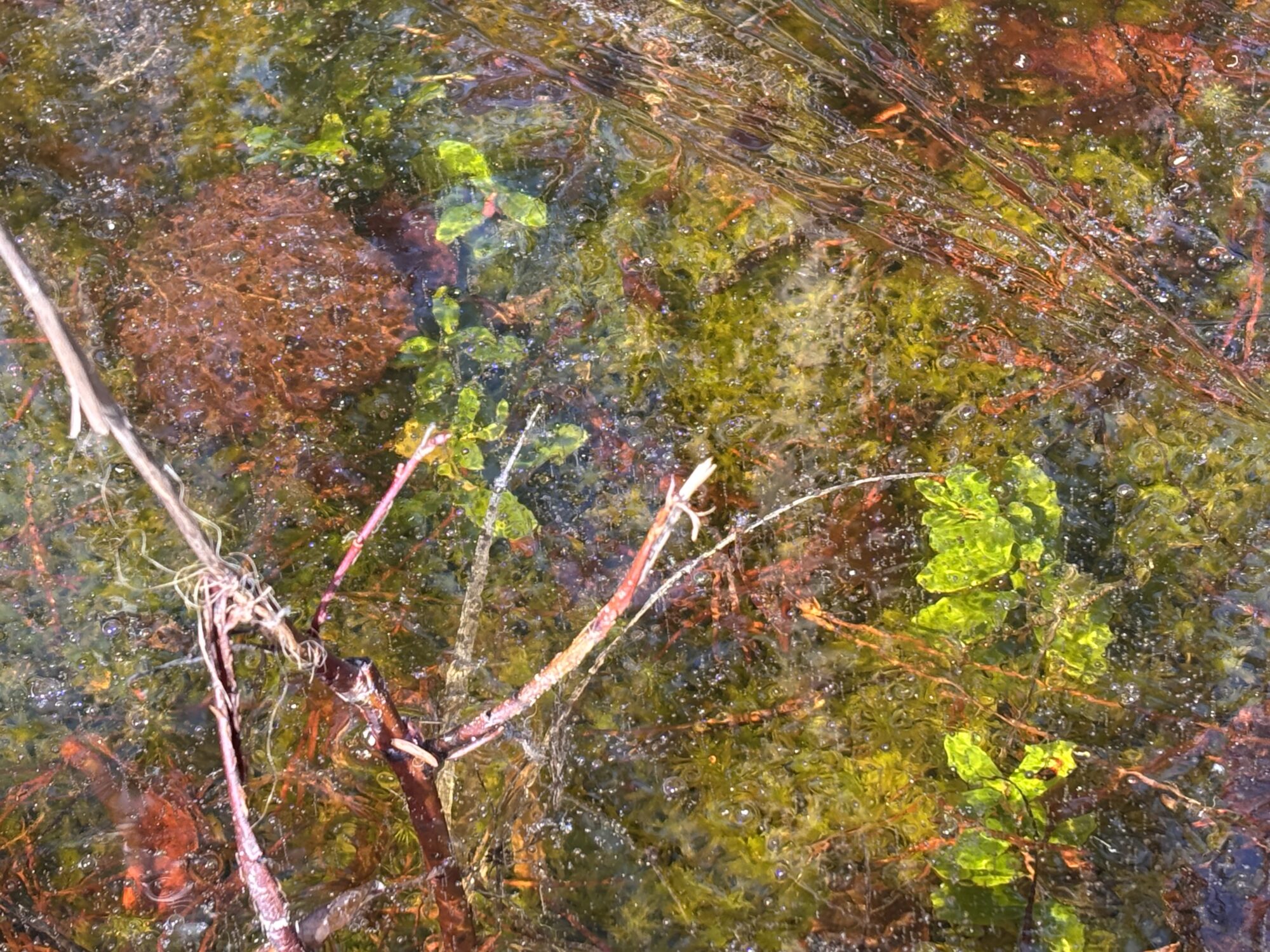 Valokuvaaja: Asta Erholtz