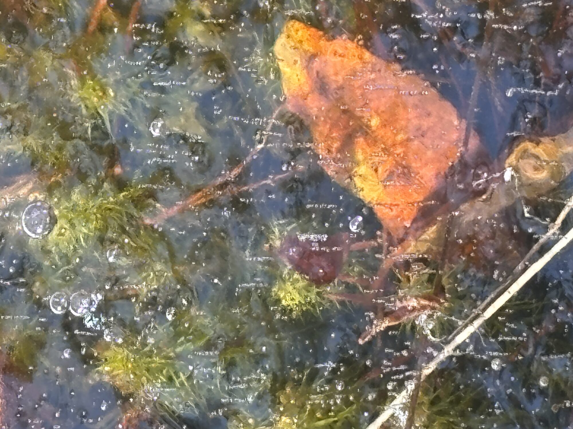 Valokuvaaja: Asta Erholtz