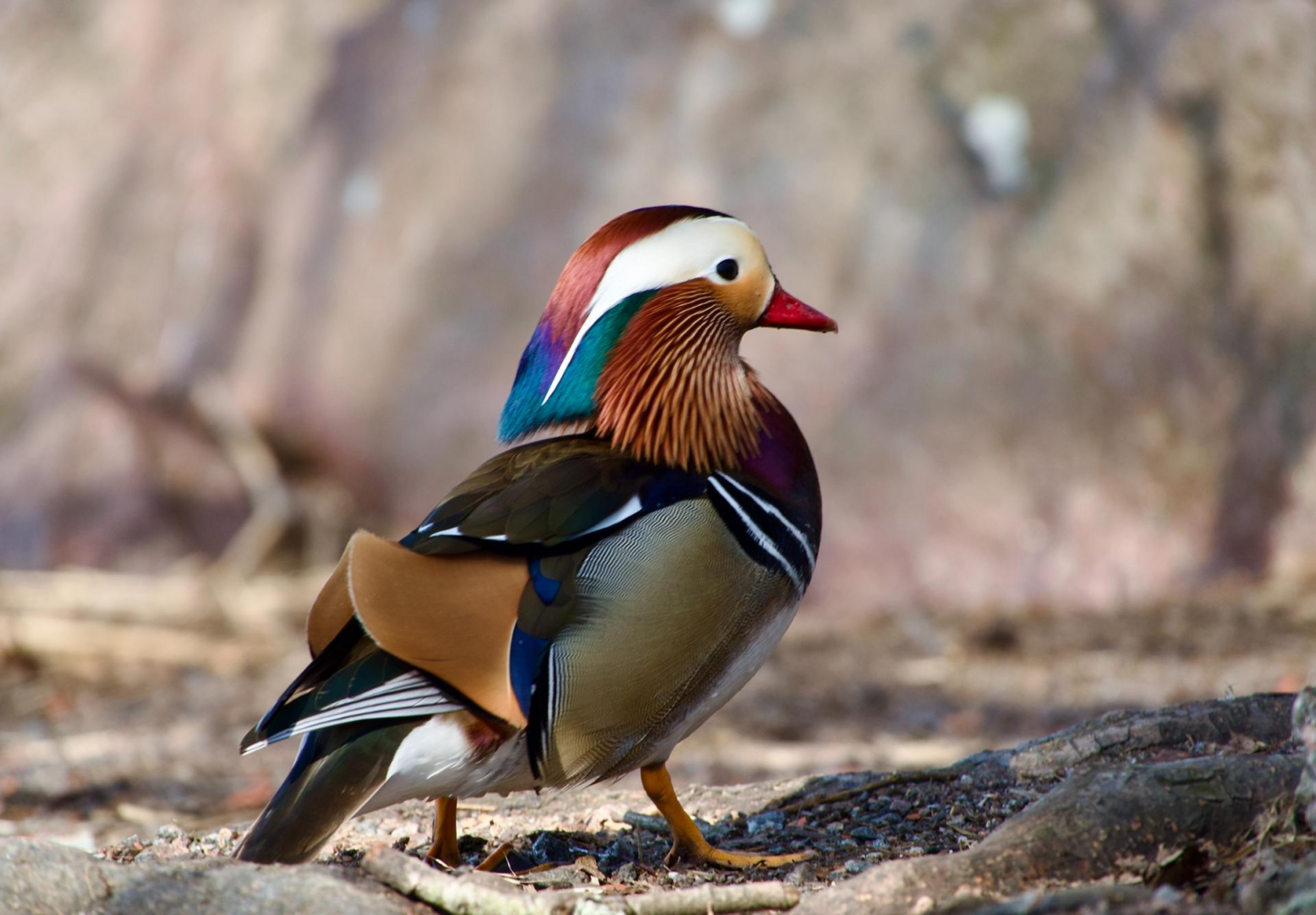 Valokuvaaja: Juha Naukkarinen