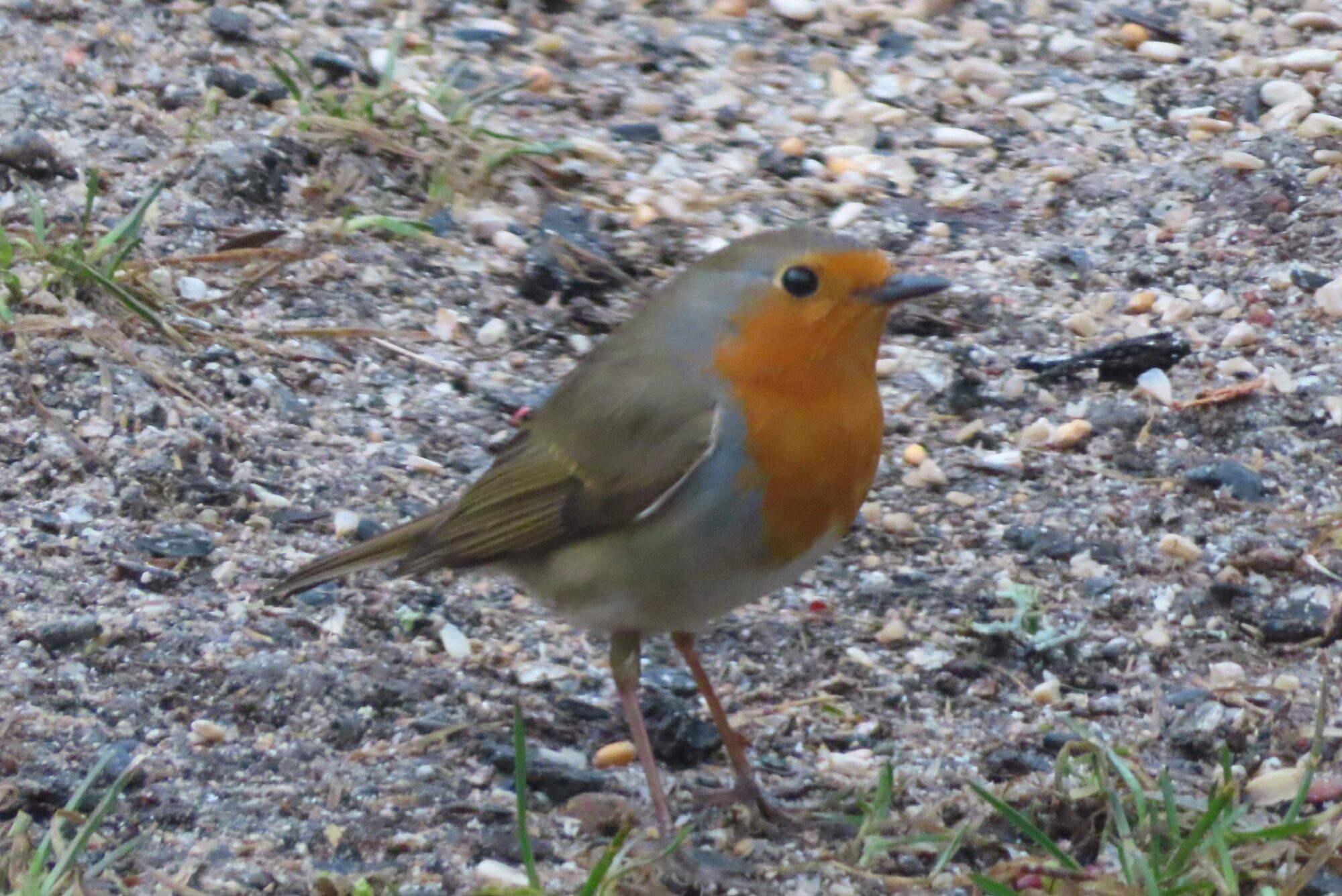 Valokuvaaja: Soili Jalava