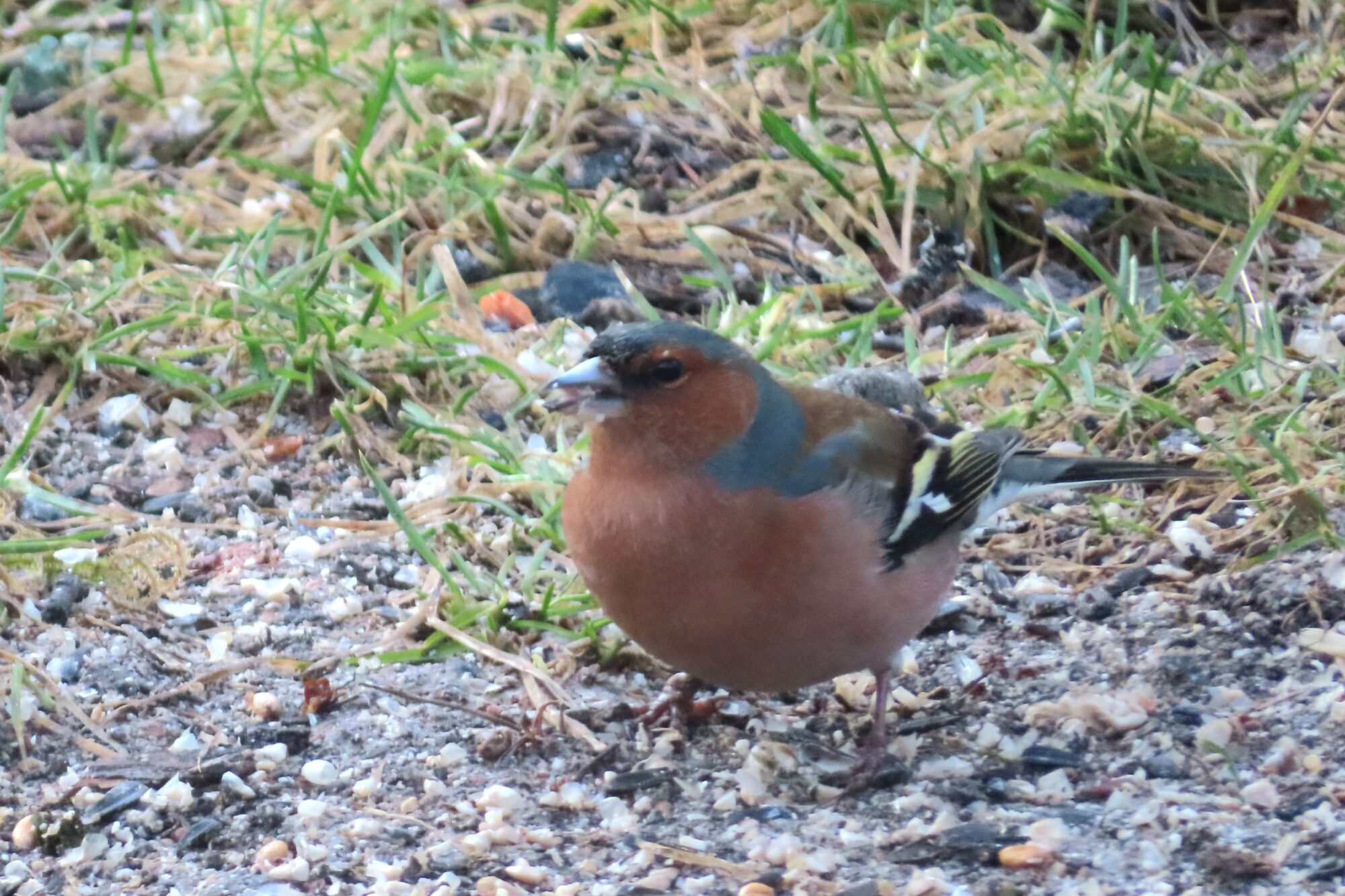 Valokuvaaja: Soili Jalava