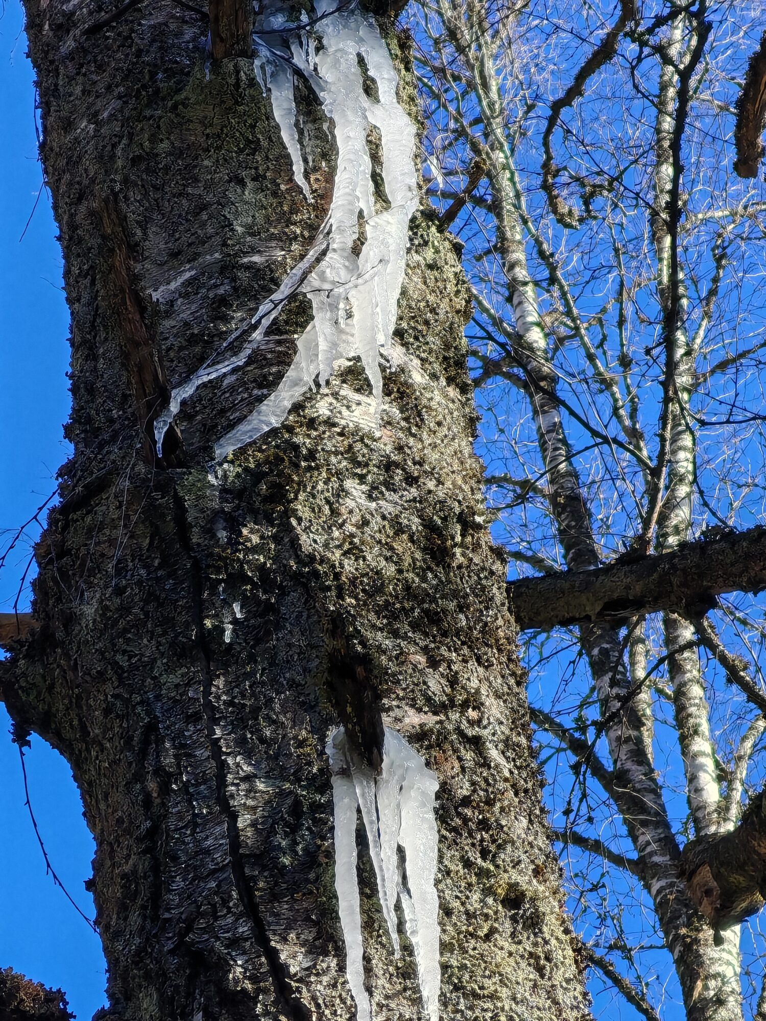 Valokuvaaja: Riitta Marjamäki