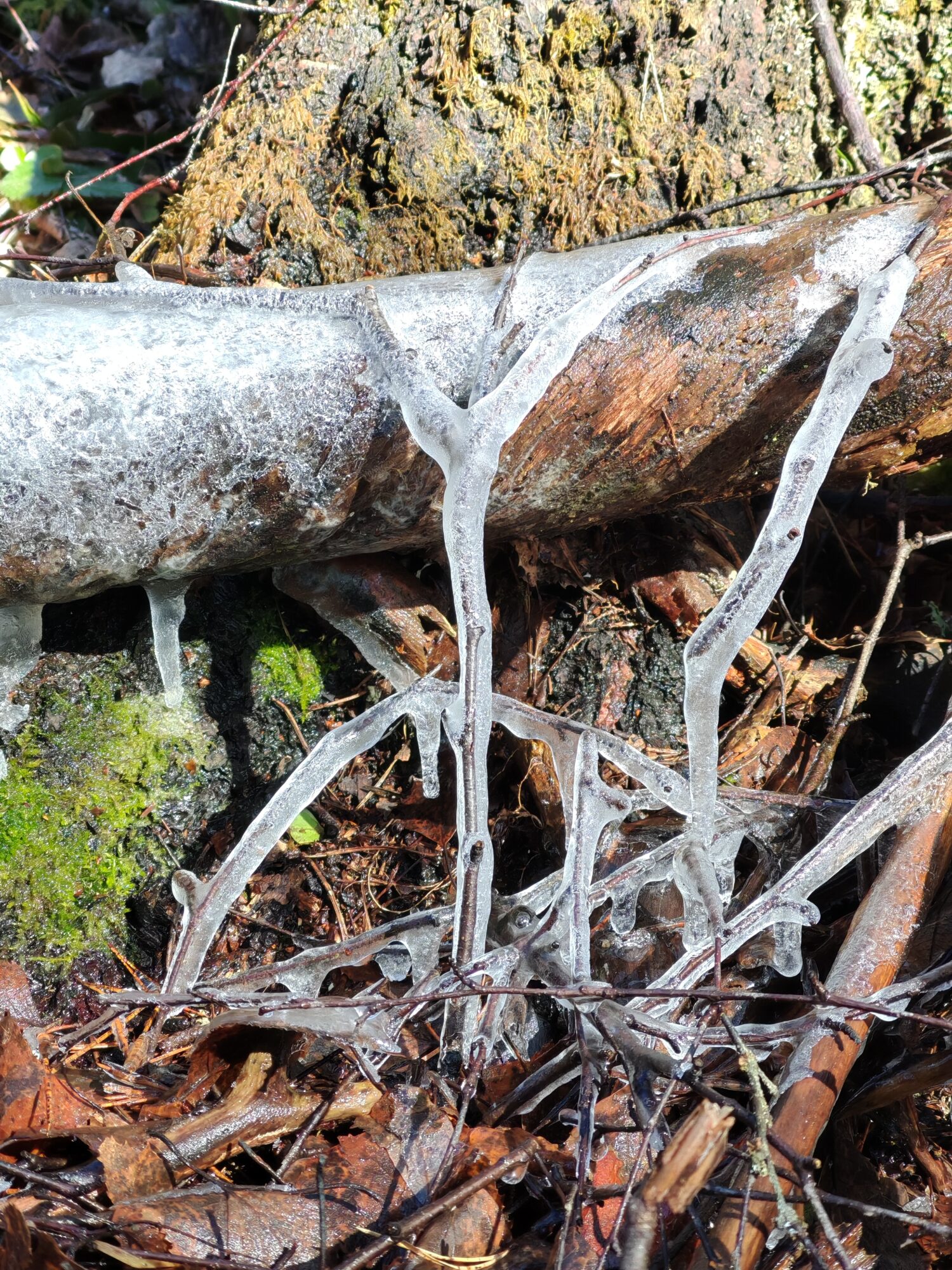 Valokuvaaja: Riitta Marjamäki