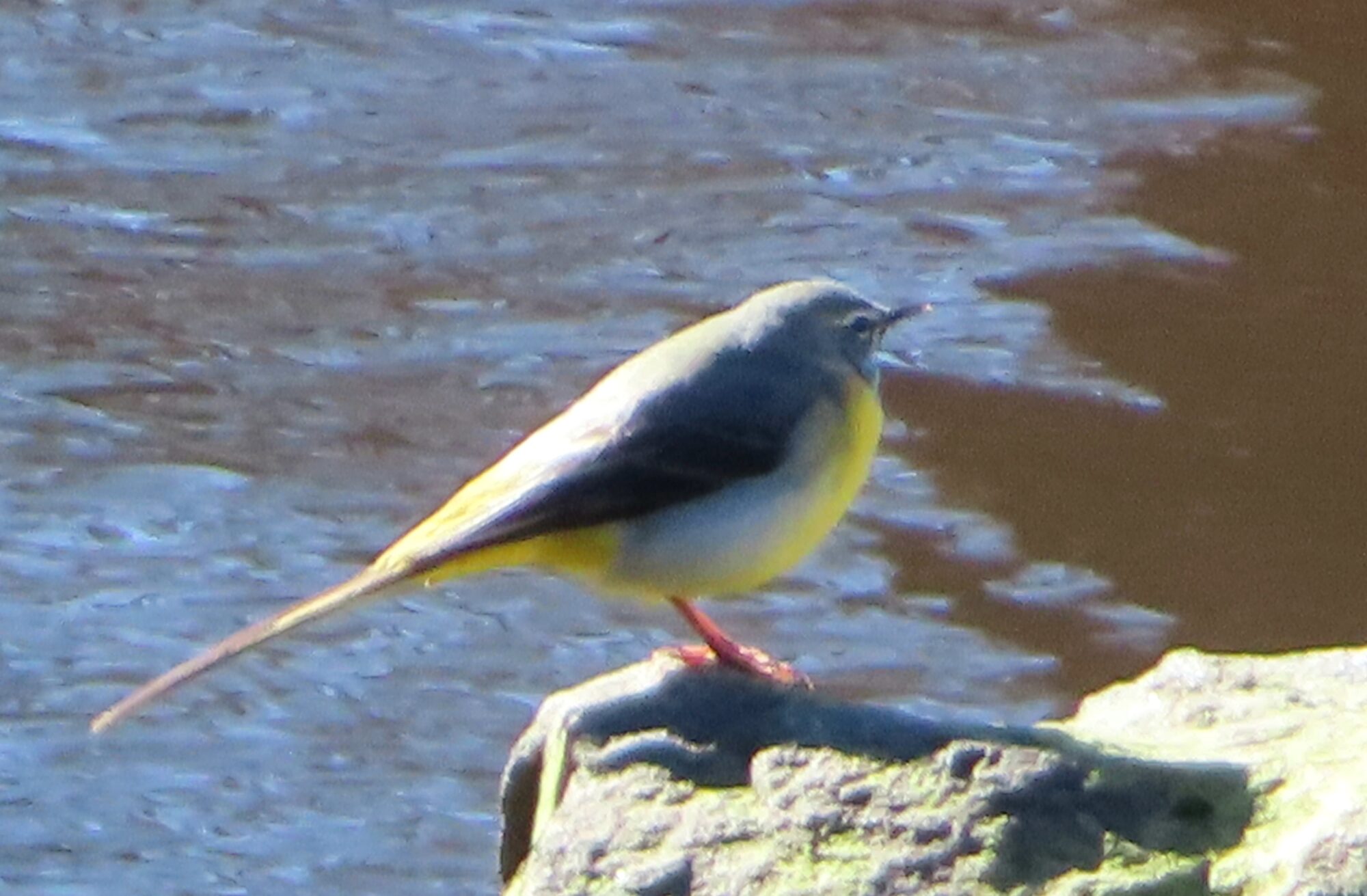 Valokuvaaja: Soili Jalava