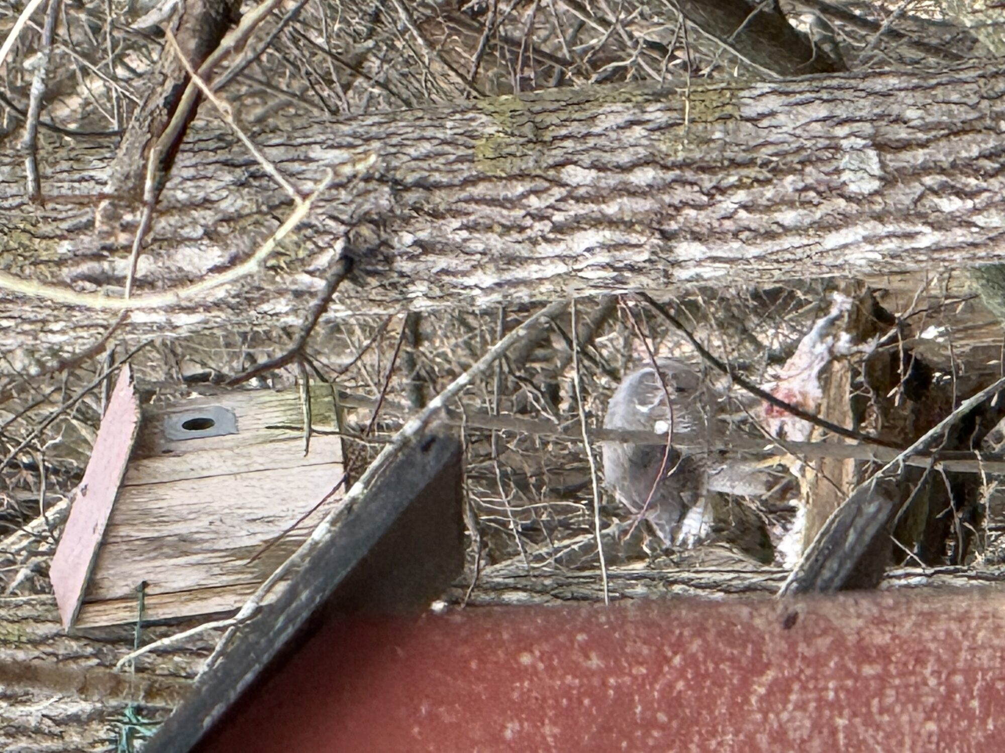 Valokuvaaja: Jorma Mattila