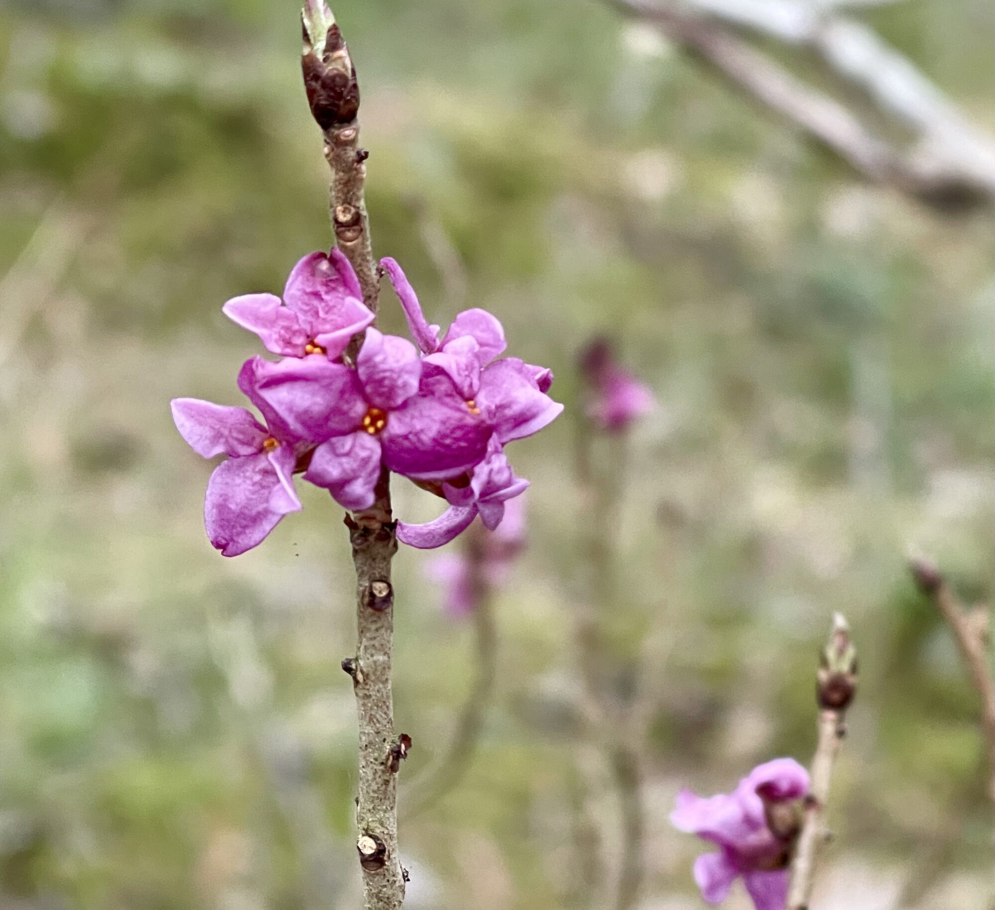 Valokuvaaja: Liisa Niiva-Korpela