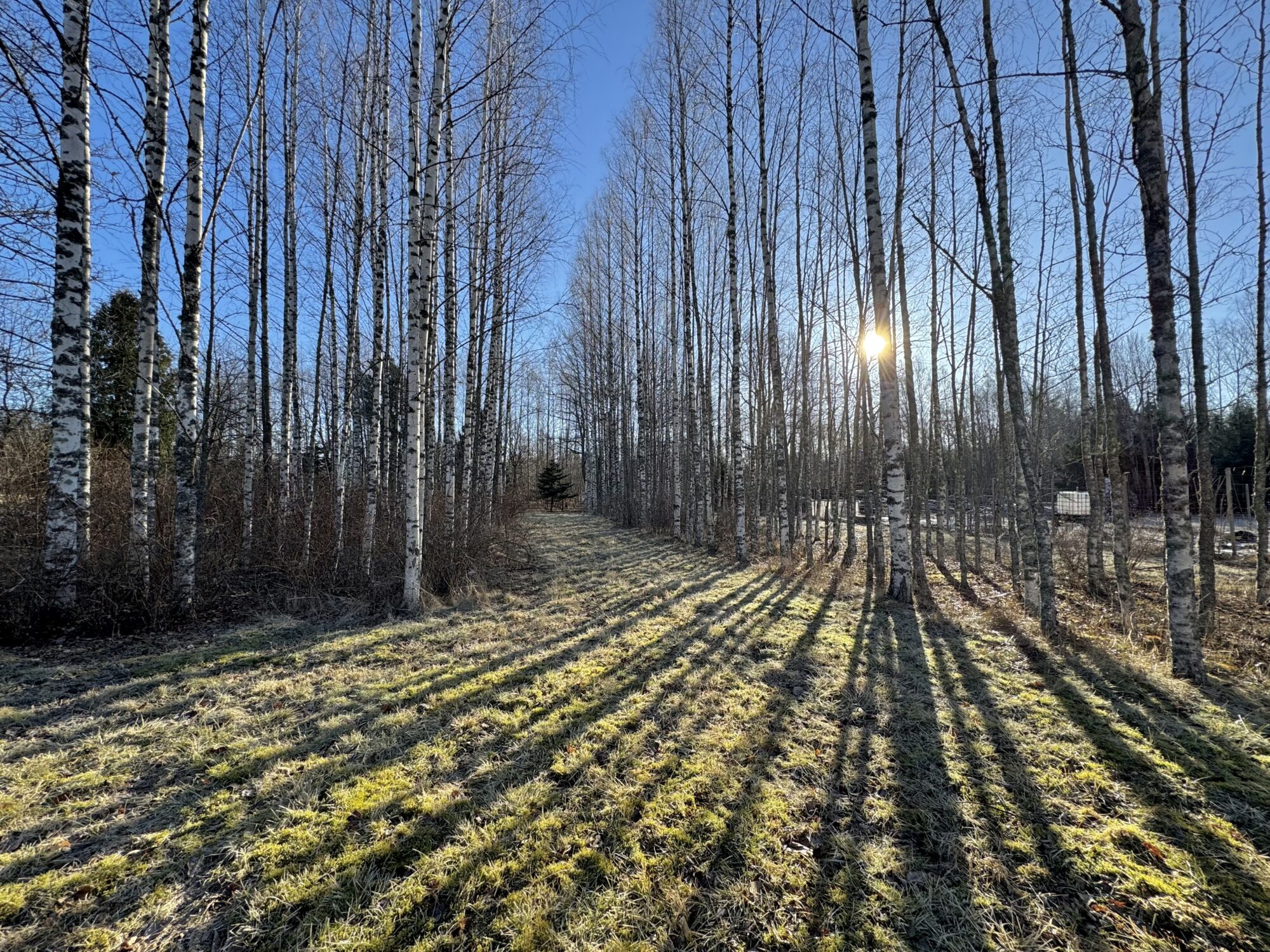 Valokuvaaja: Juhani Peltonen